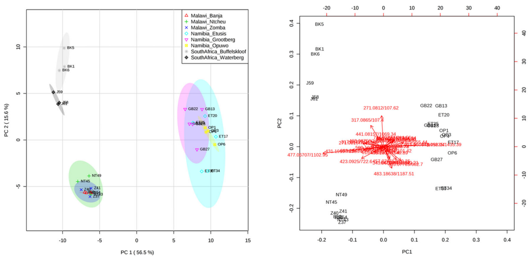 Molecules 24 01240 g004 550