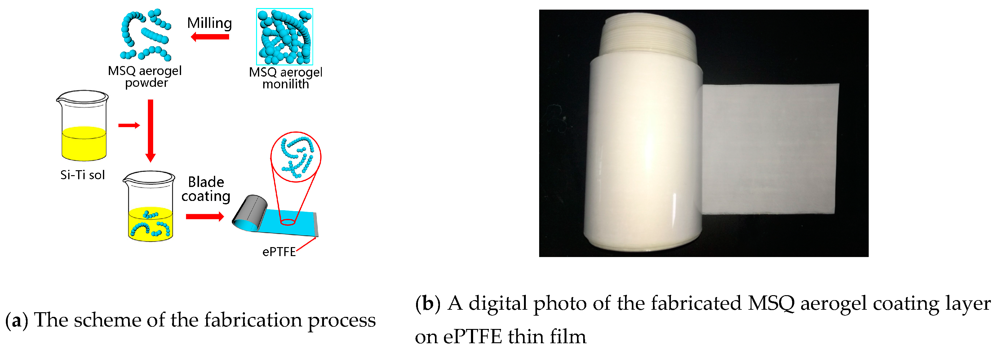 Molecules 24 01246 g002