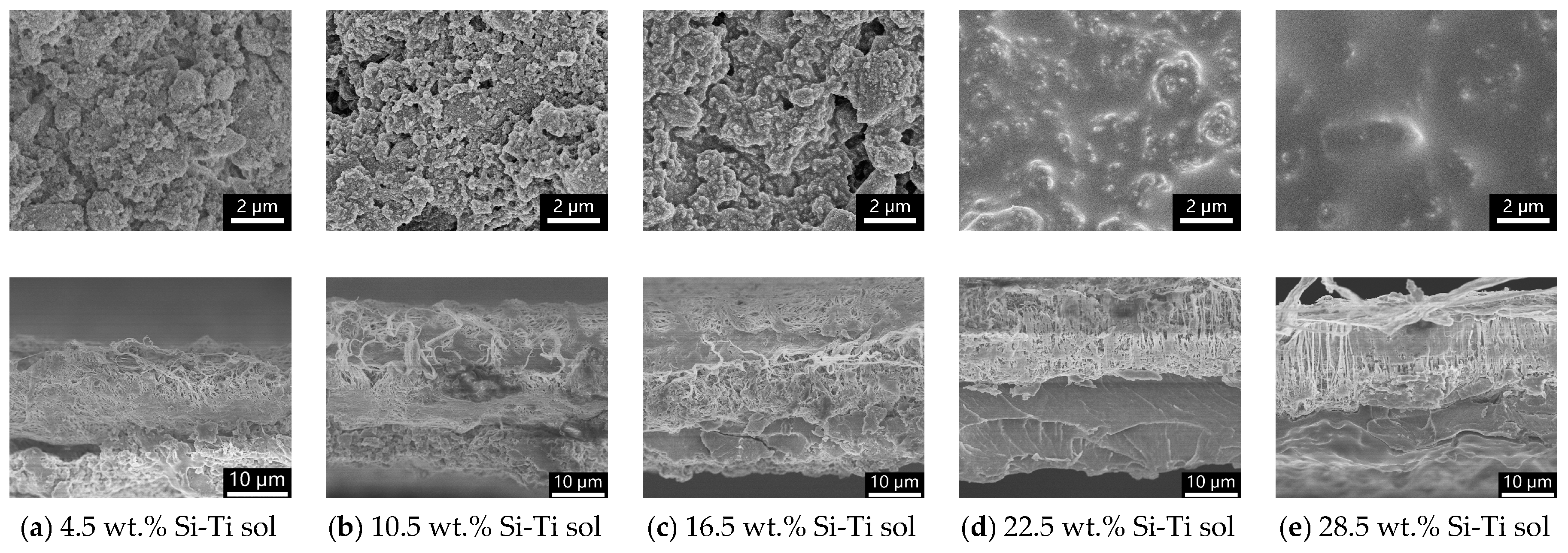 Molecules 24 01246 g004