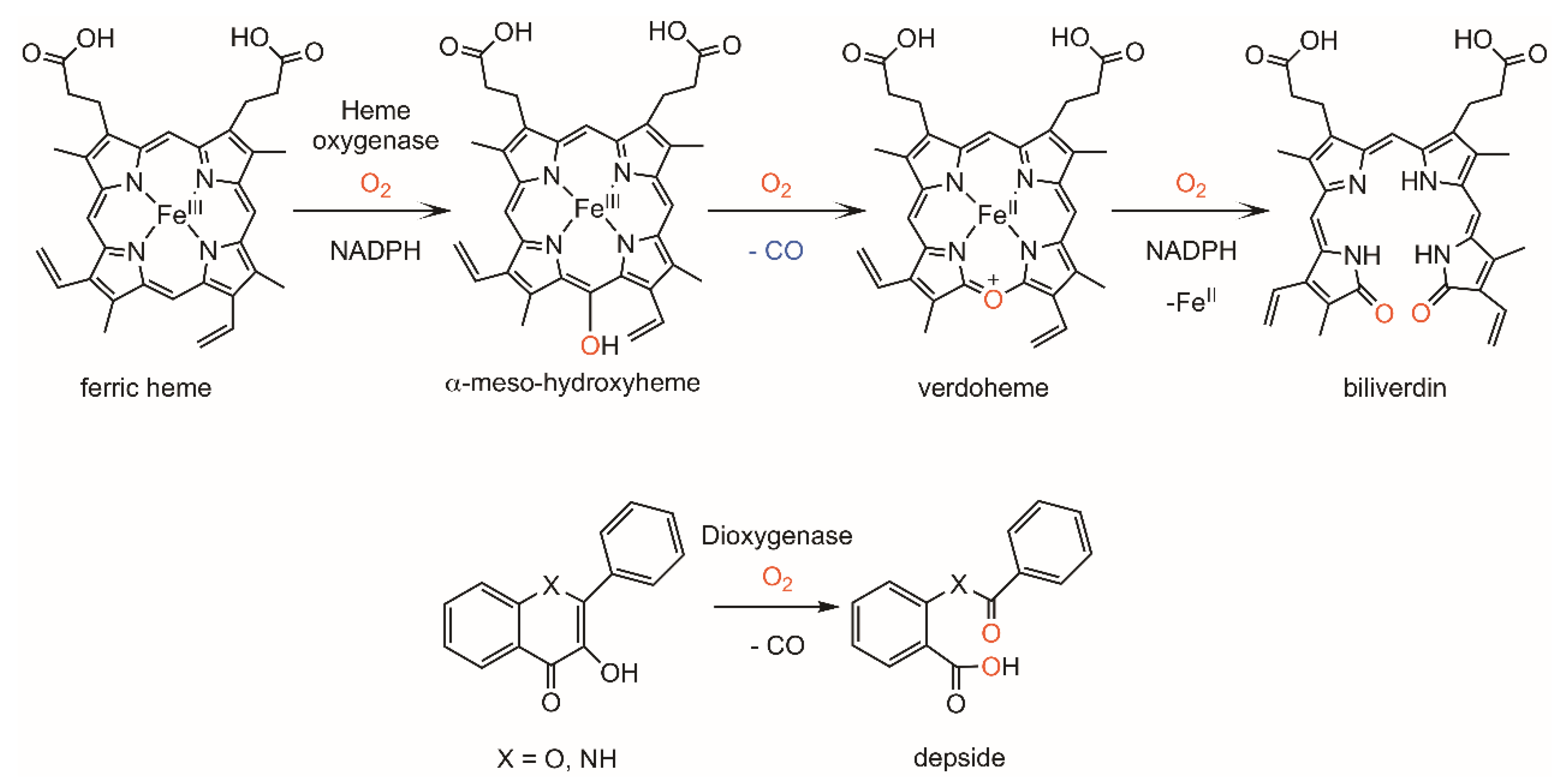 Molecules 24 01252 sch001 Molecules 24 01252 sch001