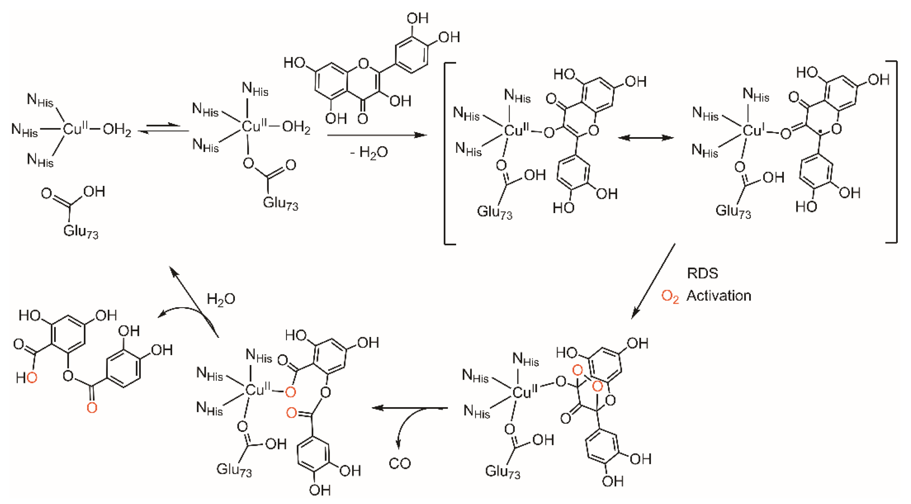 Molecules 24 01252 sch002 Molecules 24 01252 sch002