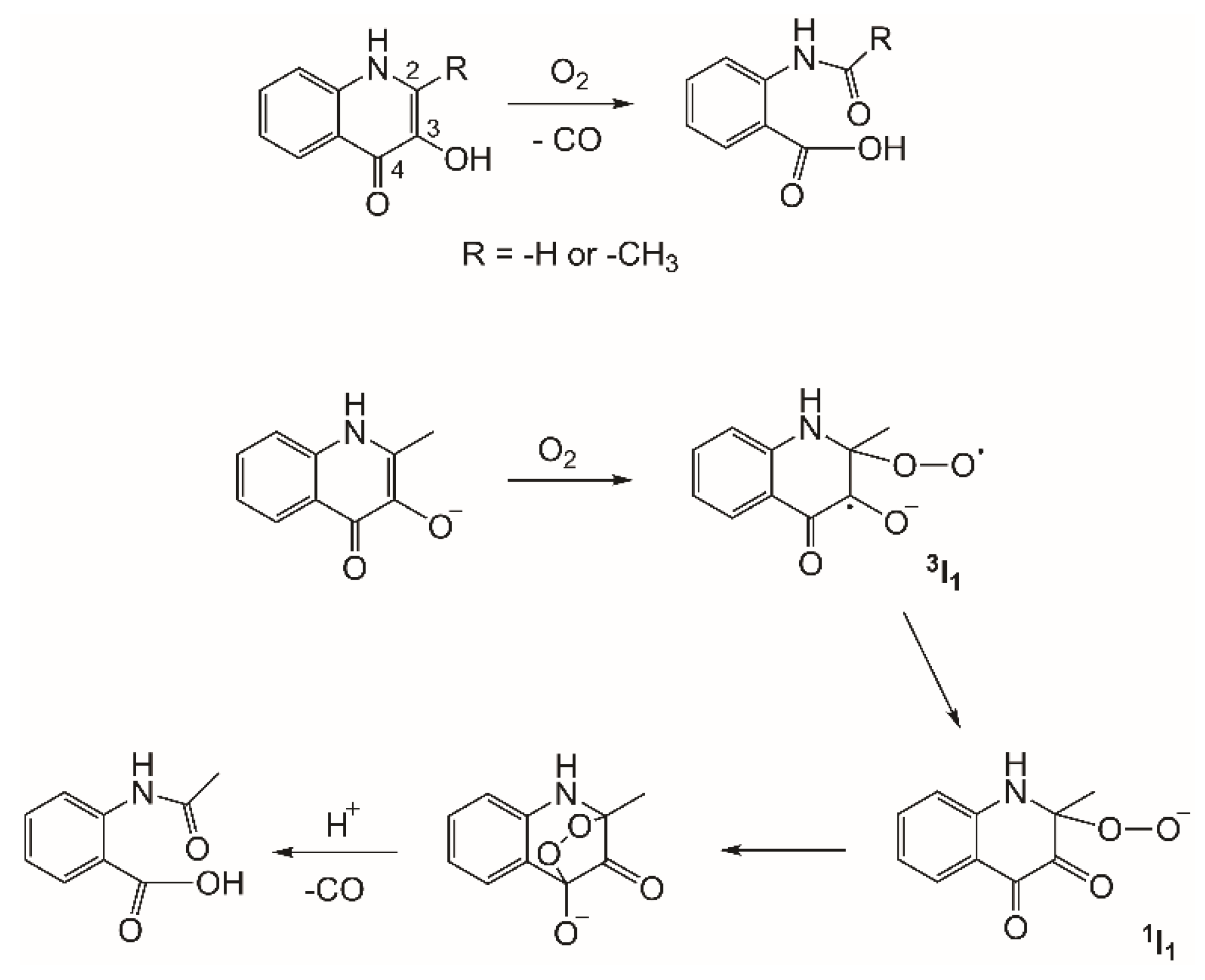 Molecules 24 01252 sch011 Molecules 24 01252 sch011