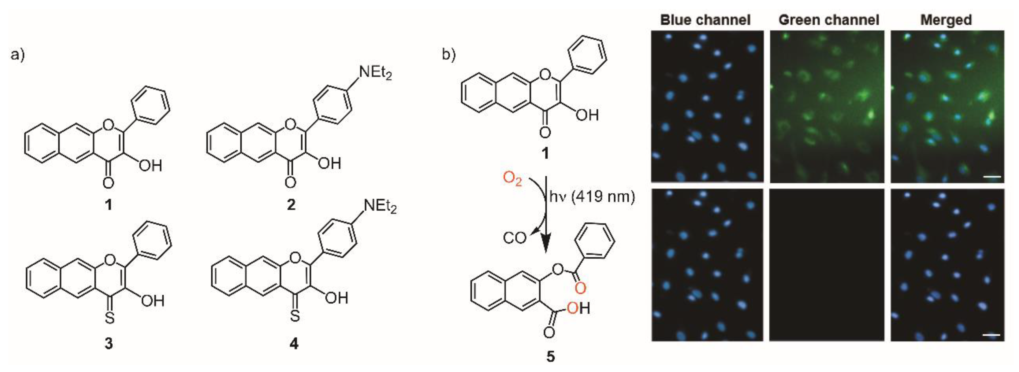 Molecules 24 01252 sch019 Molecules 24 01252 sch019