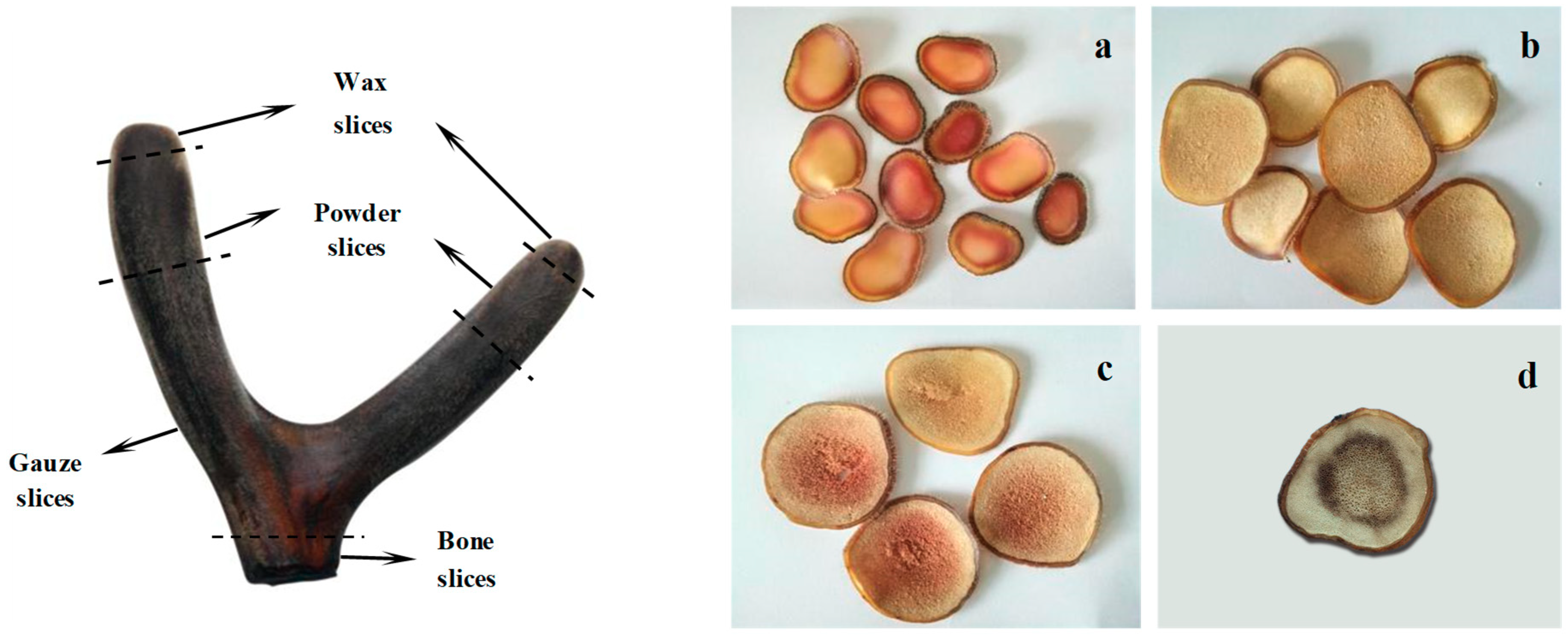 Molecules 24 01255 g004 Molecules 24 01255 g004
