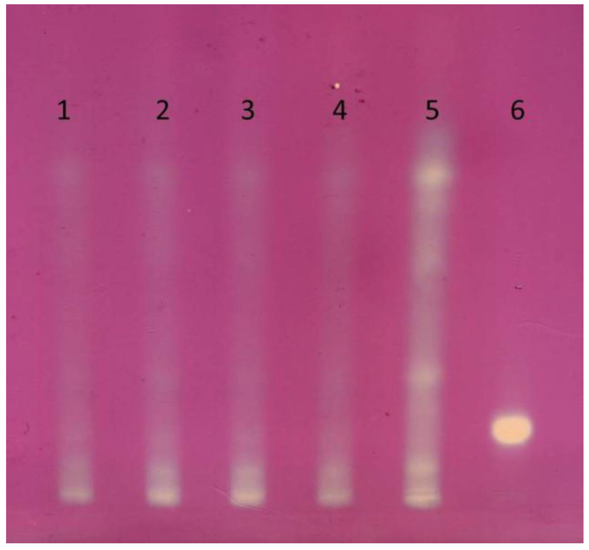 Molecules 24 01262 g001 550