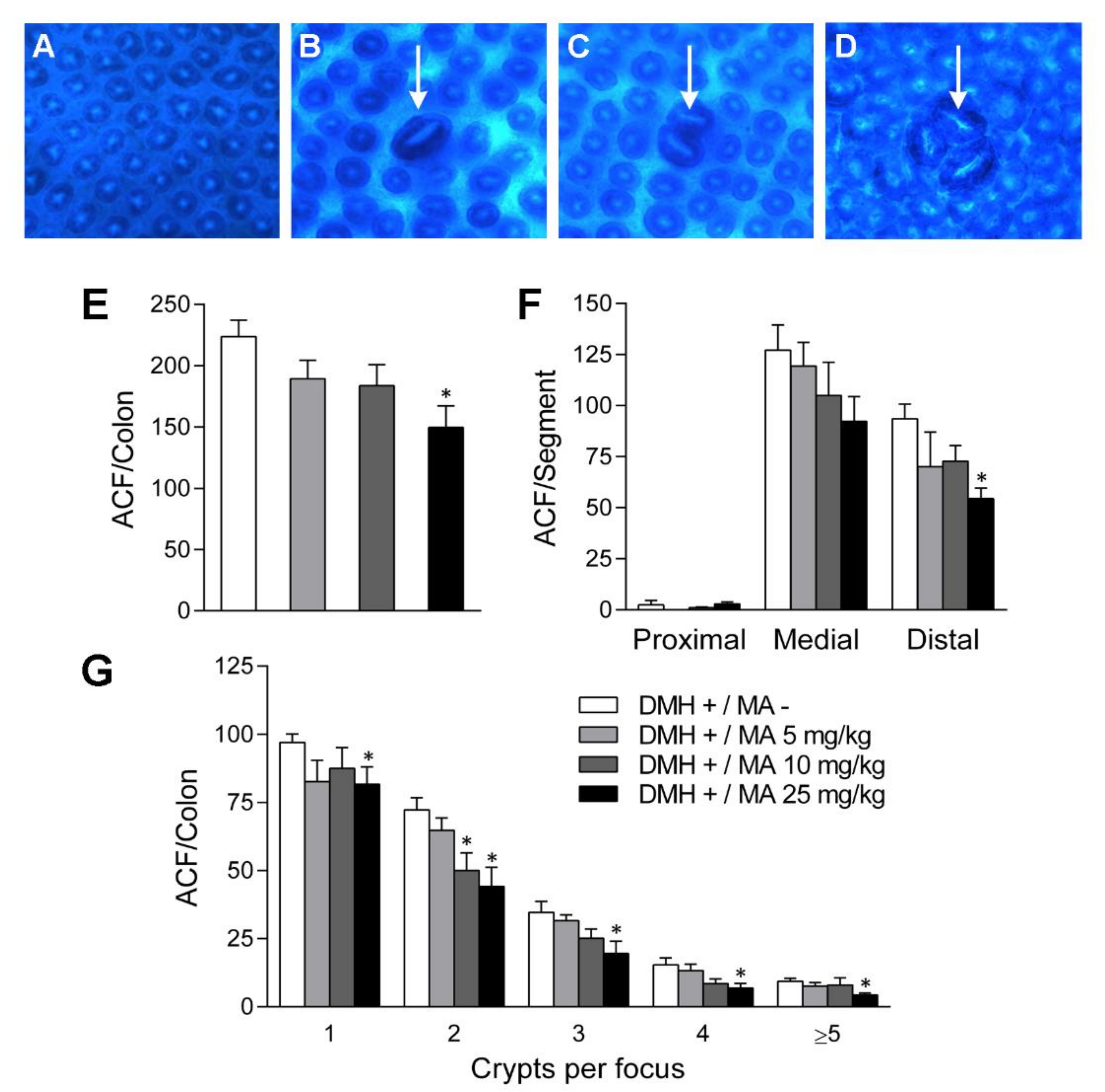 Molecules 24 01266 g004