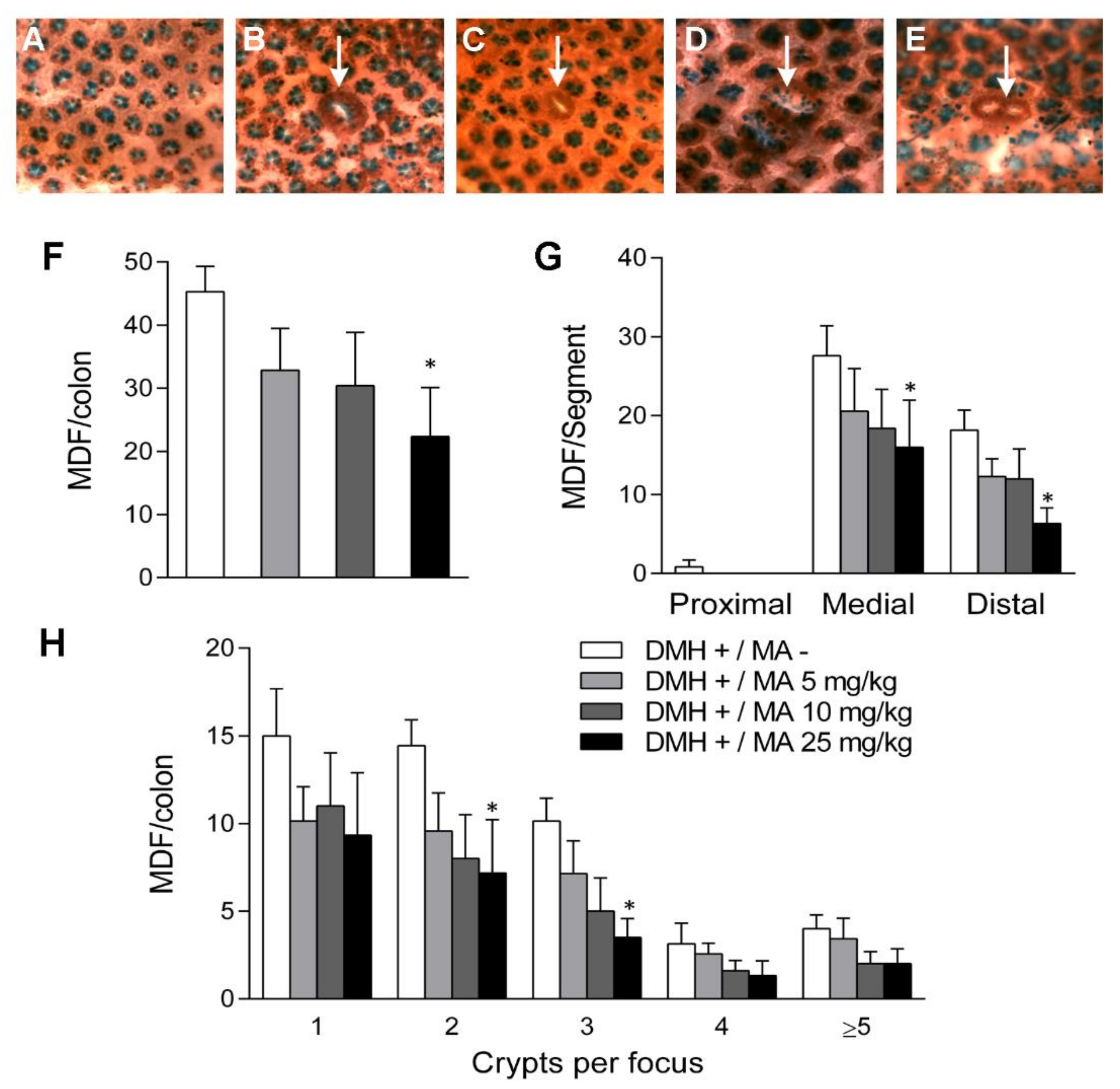 Molecules 24 01266 g005