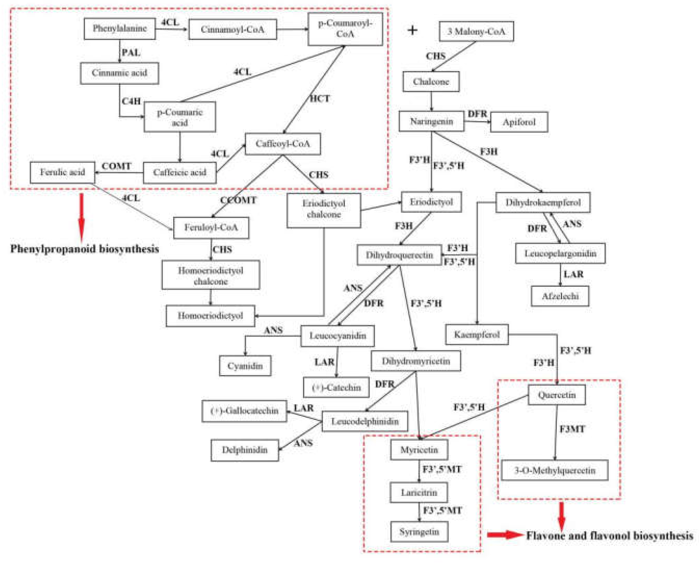 Molecules 24 01267 g006