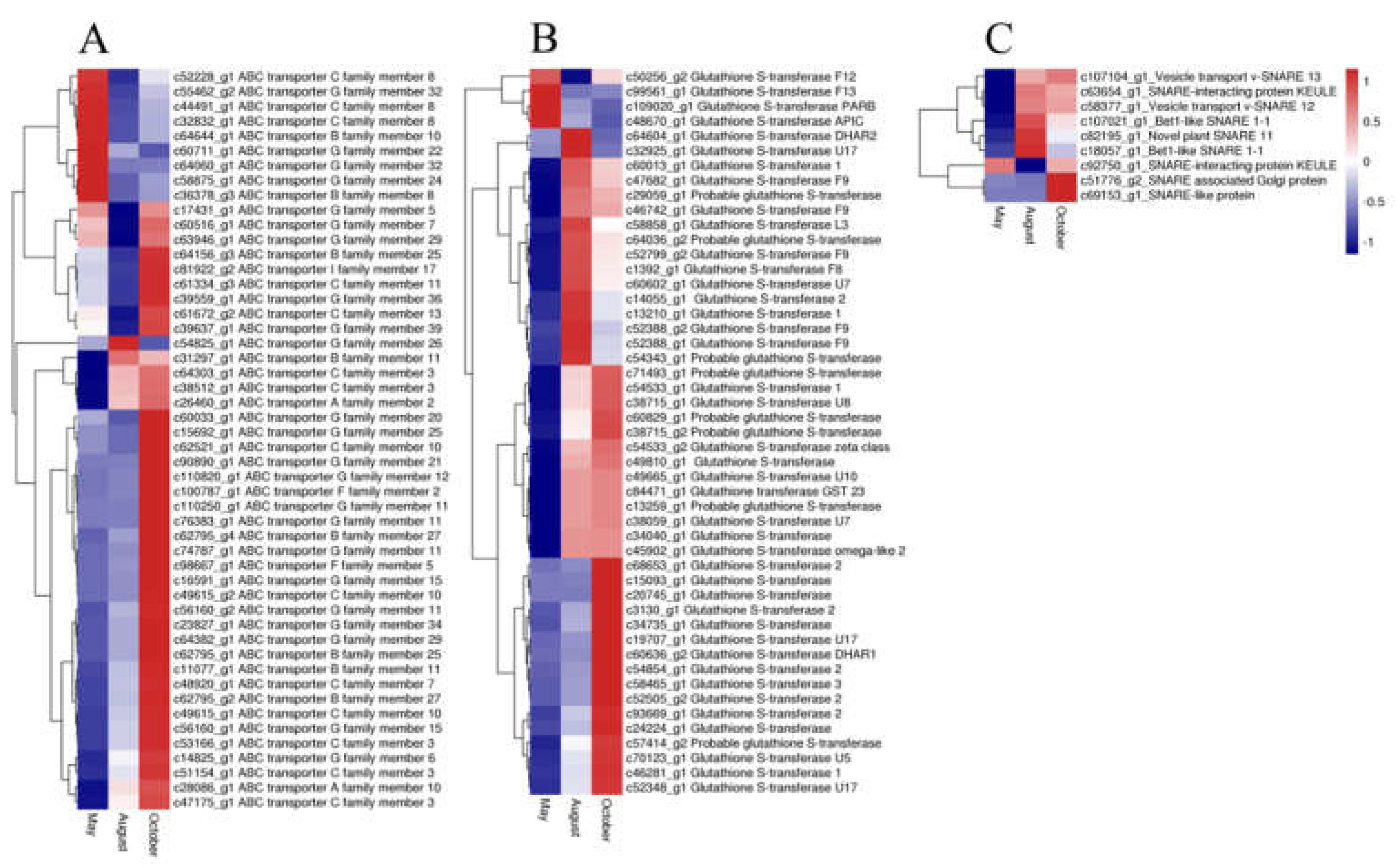 Molecules 24 01267 g008