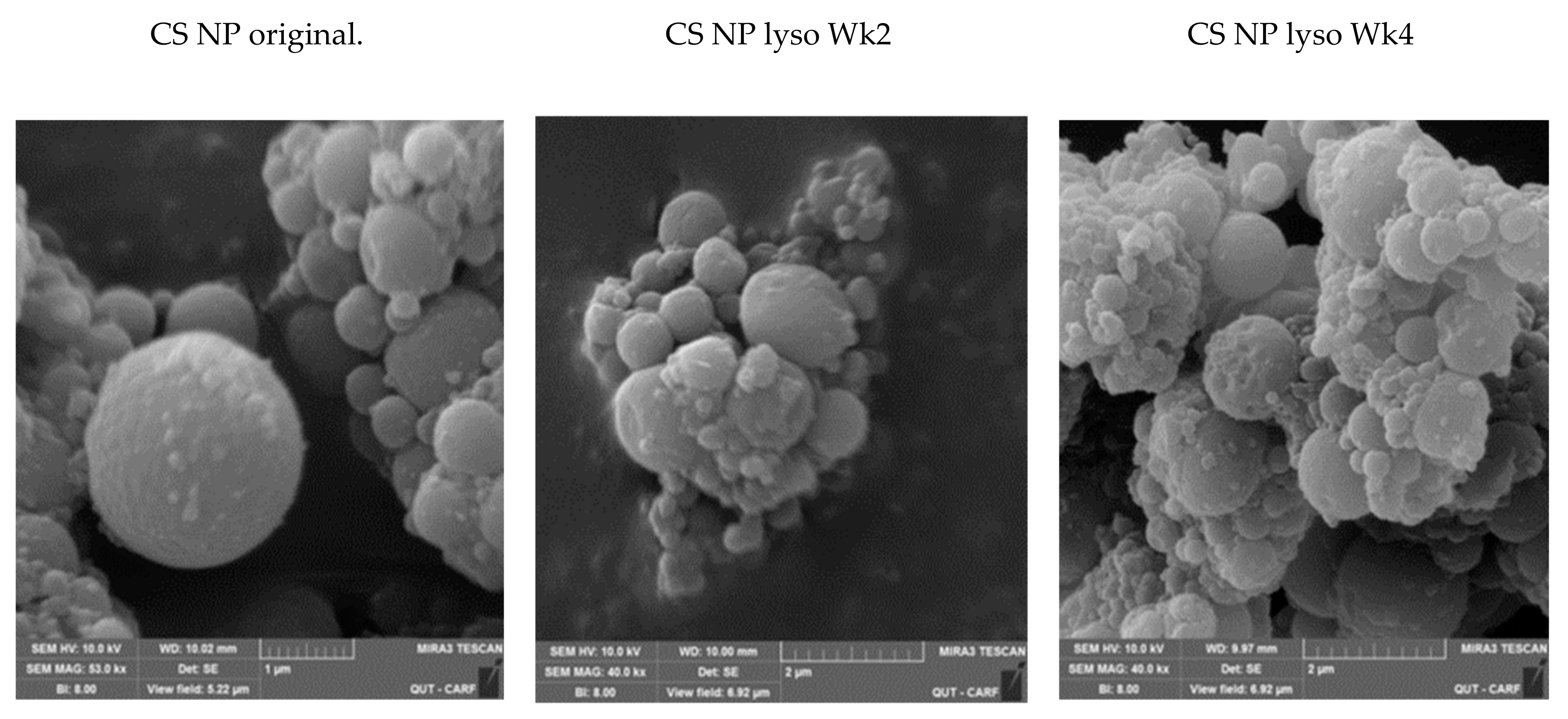 Molecules 24 01271 g005a