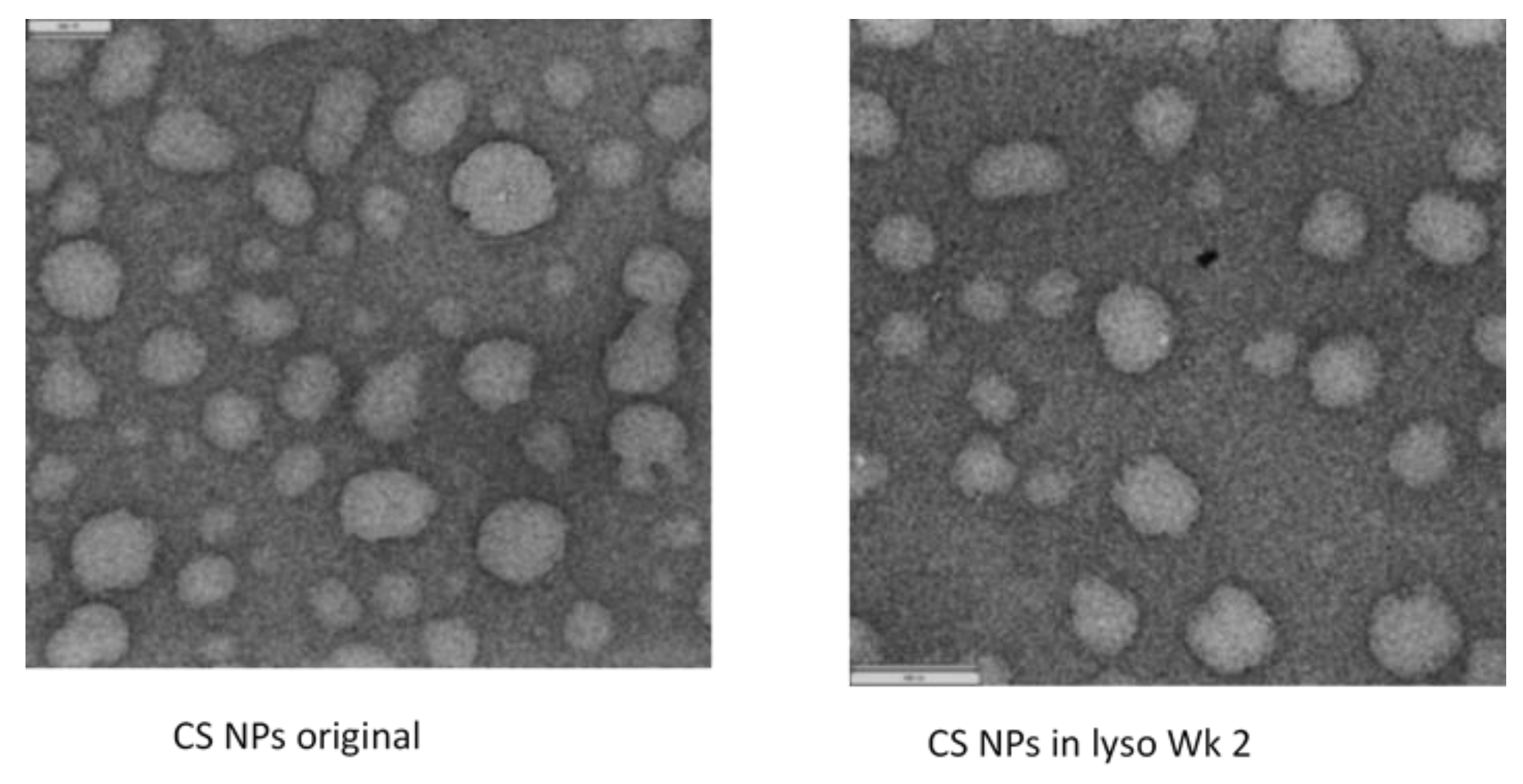 Molecules 24 01271 g007