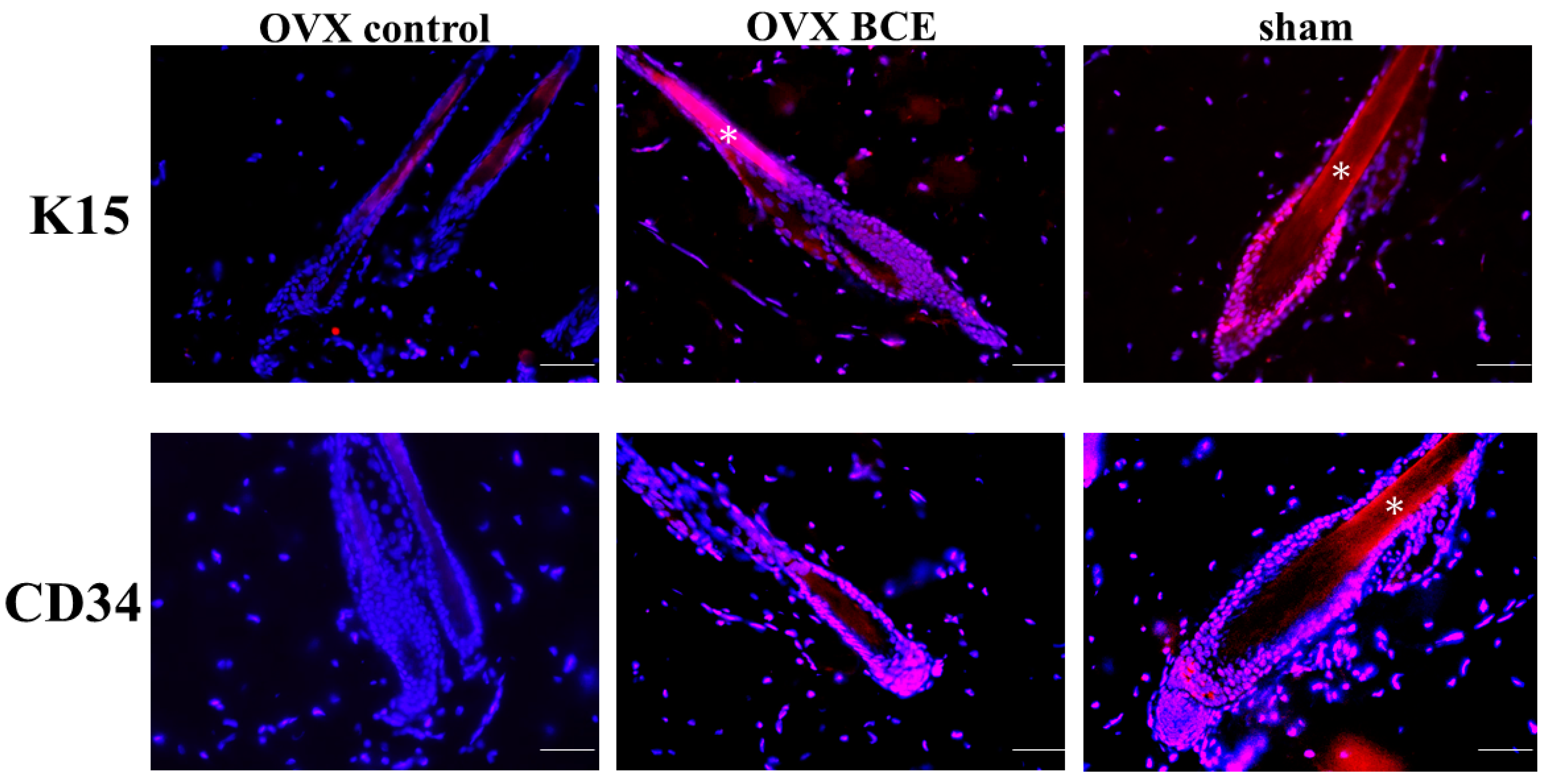 Molecules 24 01272 g005