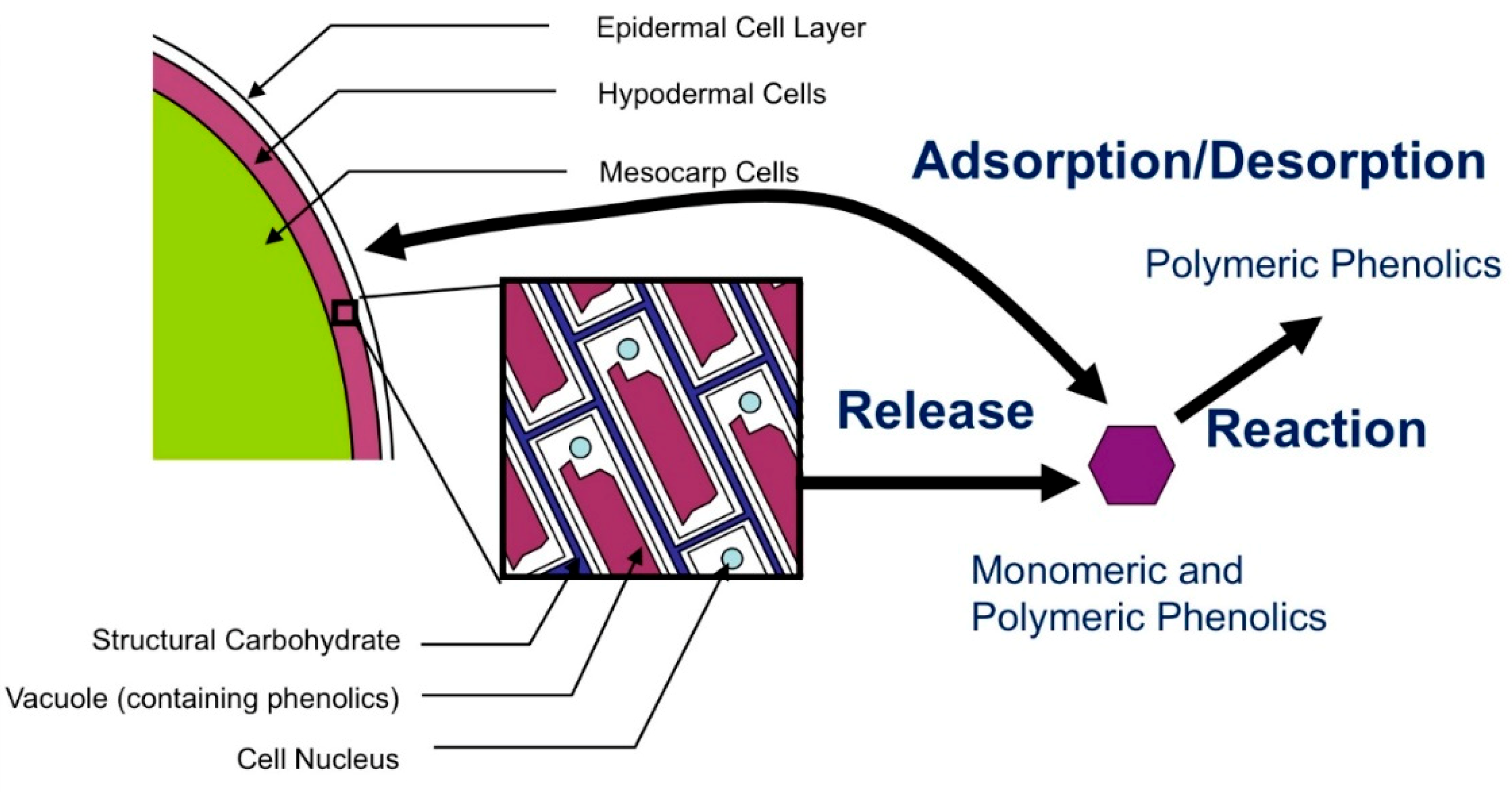 Molecules 24 01275 g001