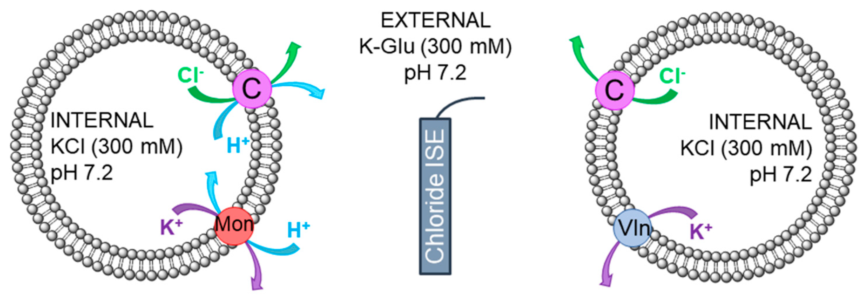 Molecules 24 01278 g003 Molecules 24 01278 g003