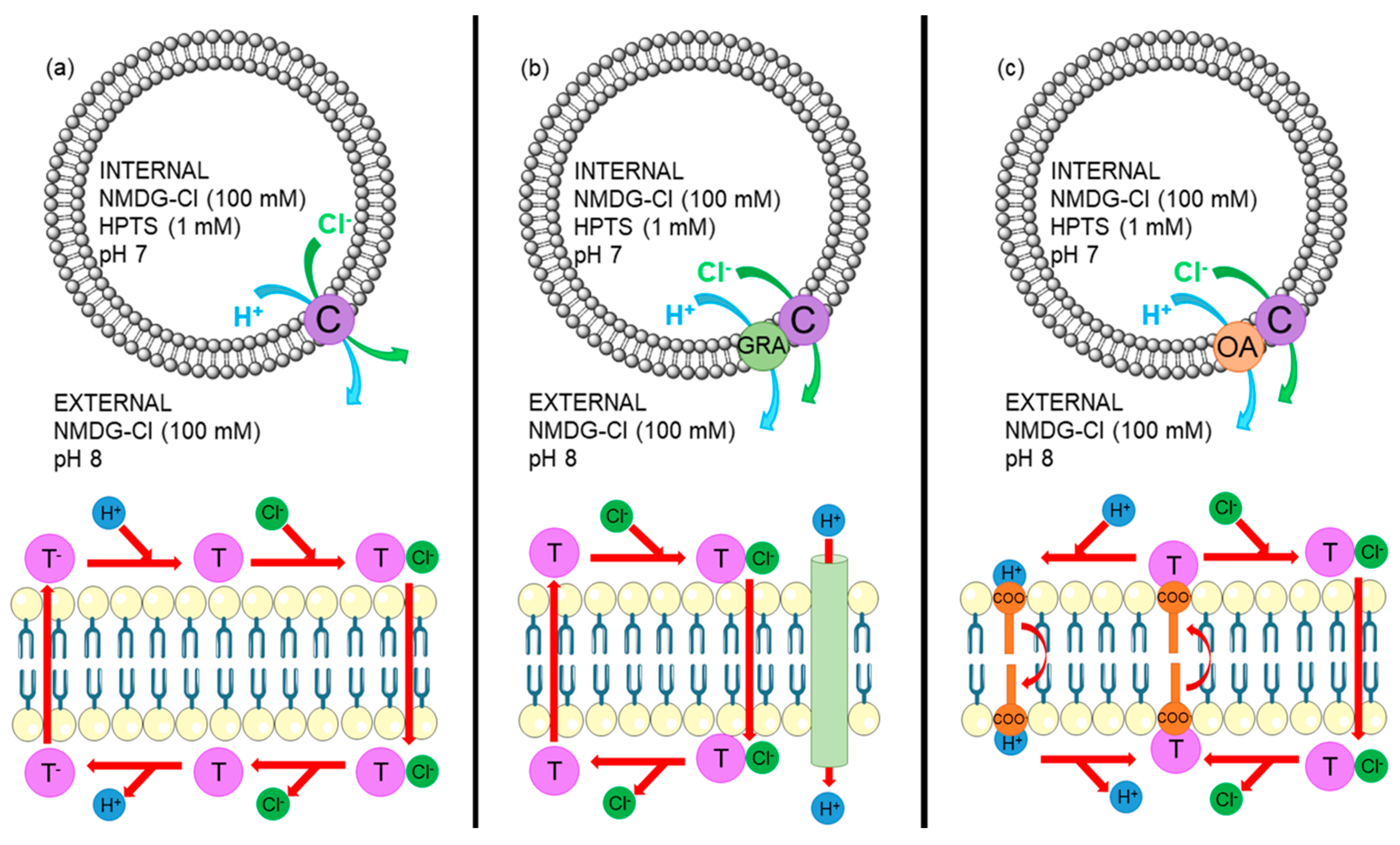 Molecules 24 01278 g005 Molecules 24 01278 g005