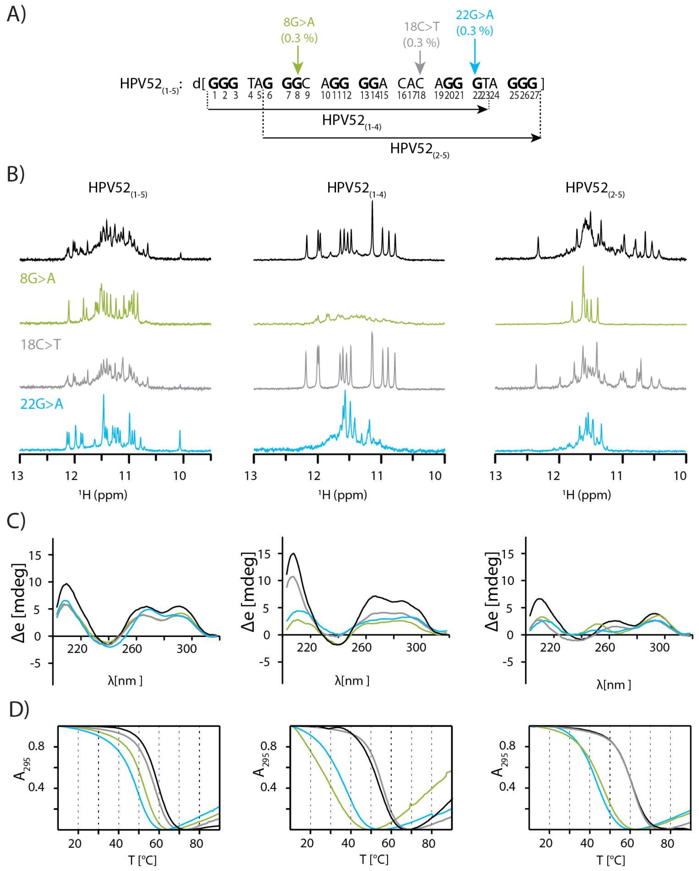 human papillomavirus g quadruplexes după electrocoagularea papilomului