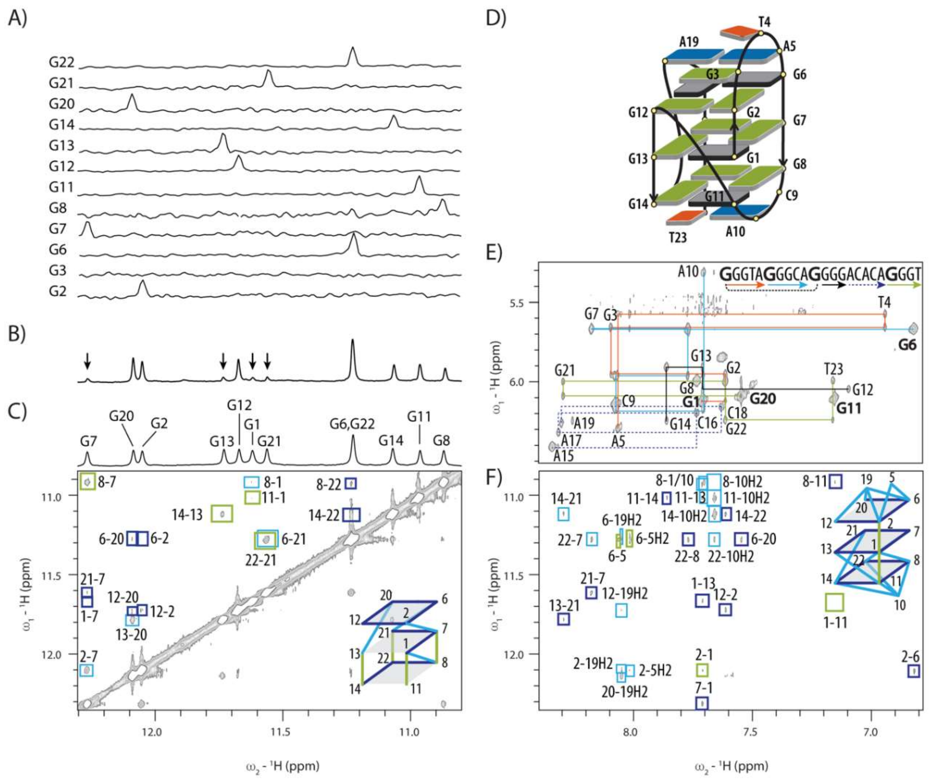 human papillomavirus g quadruplexes recenzii ale condiloamelor vulvare