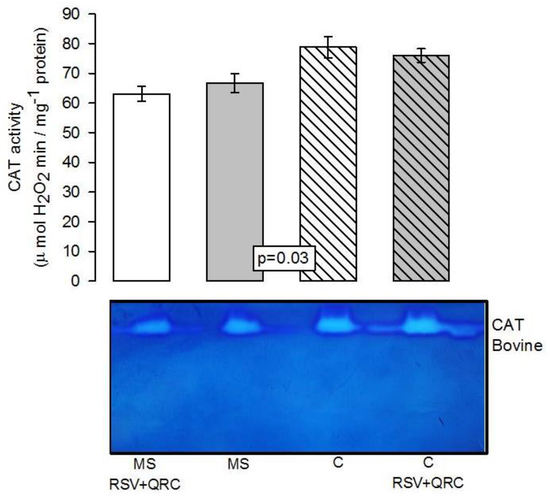 Molecules 24 01297 g004 Molecules 24 01297 g004