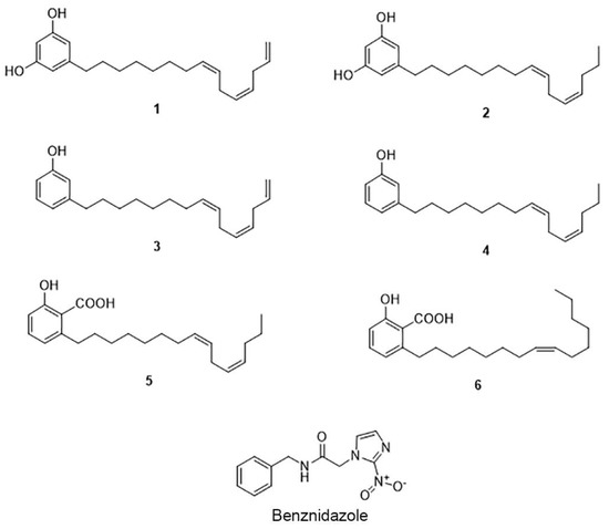 Mahabir GUPTA  Emeritus Research Professor of Pharmacognosy and