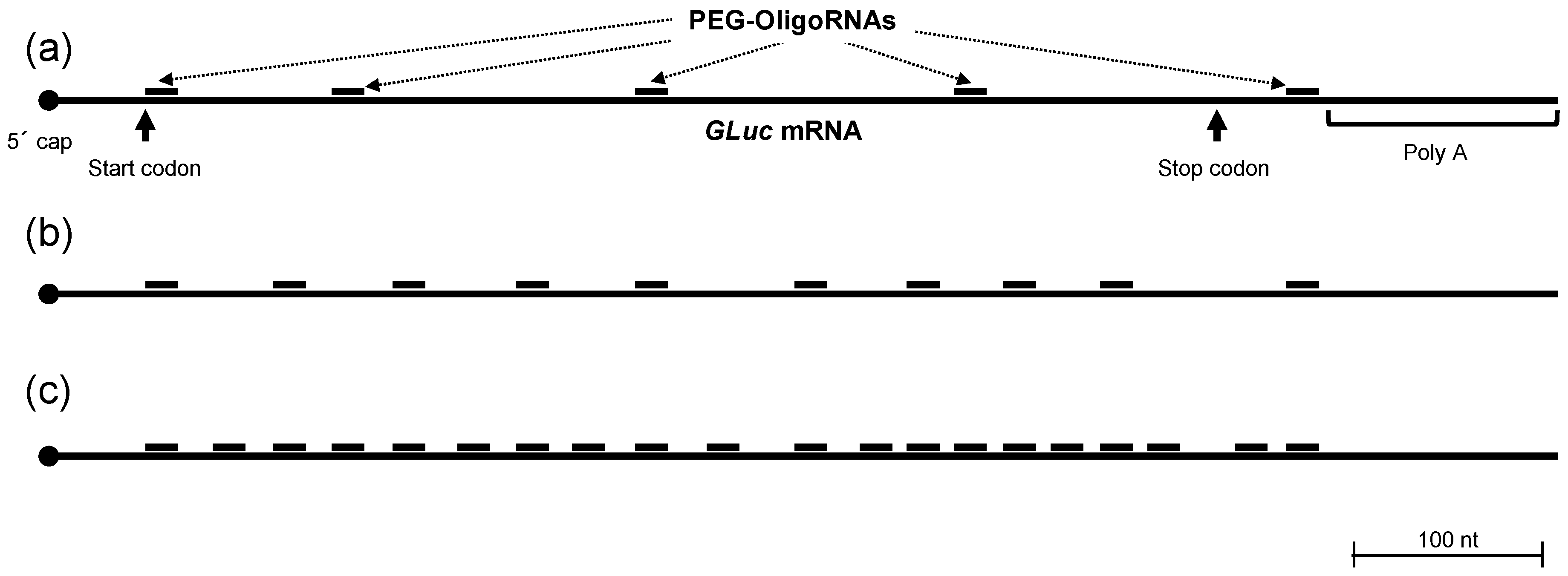 Molecules 24 01303 g001