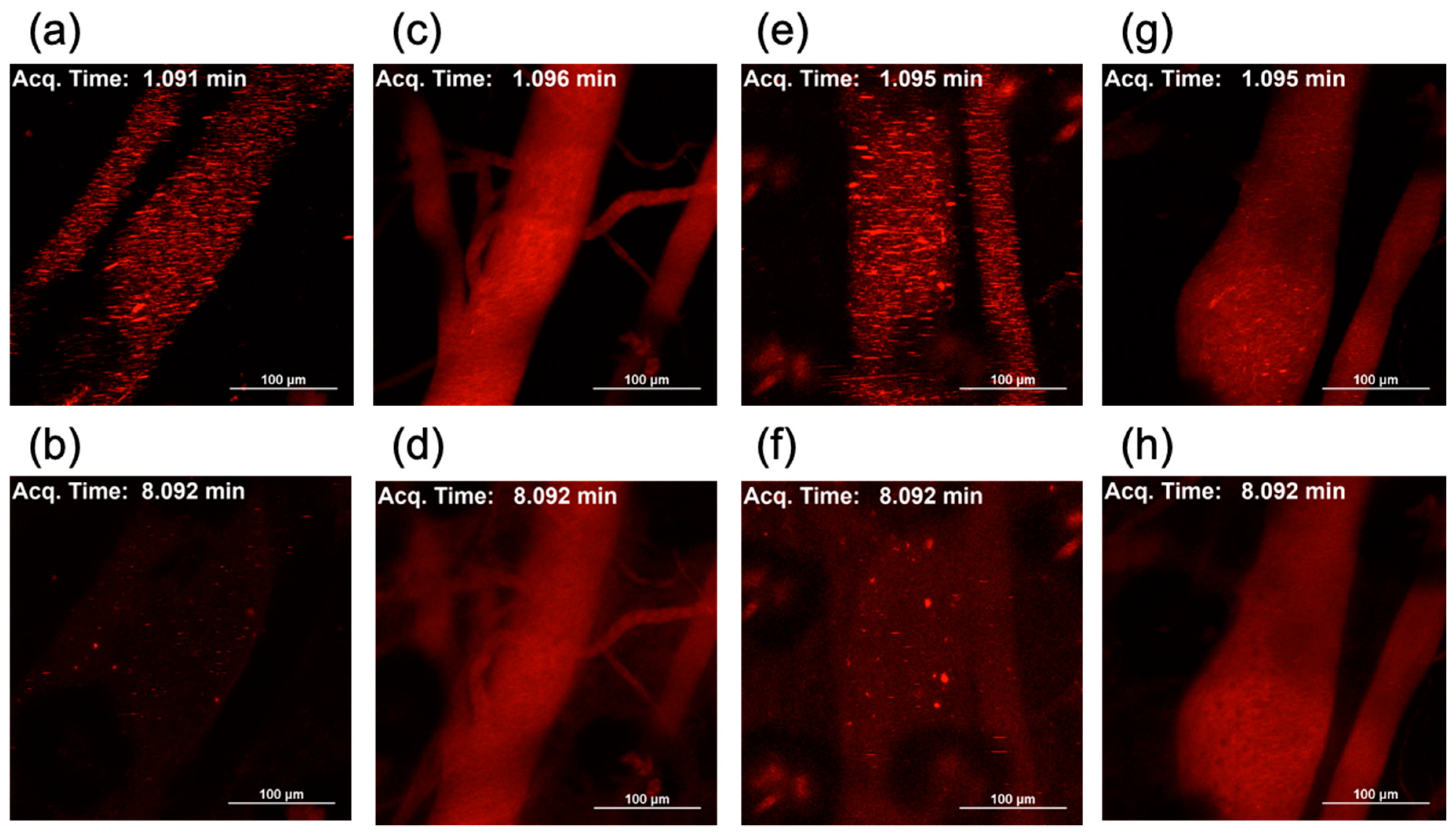 Molecules 24 01303 g008
