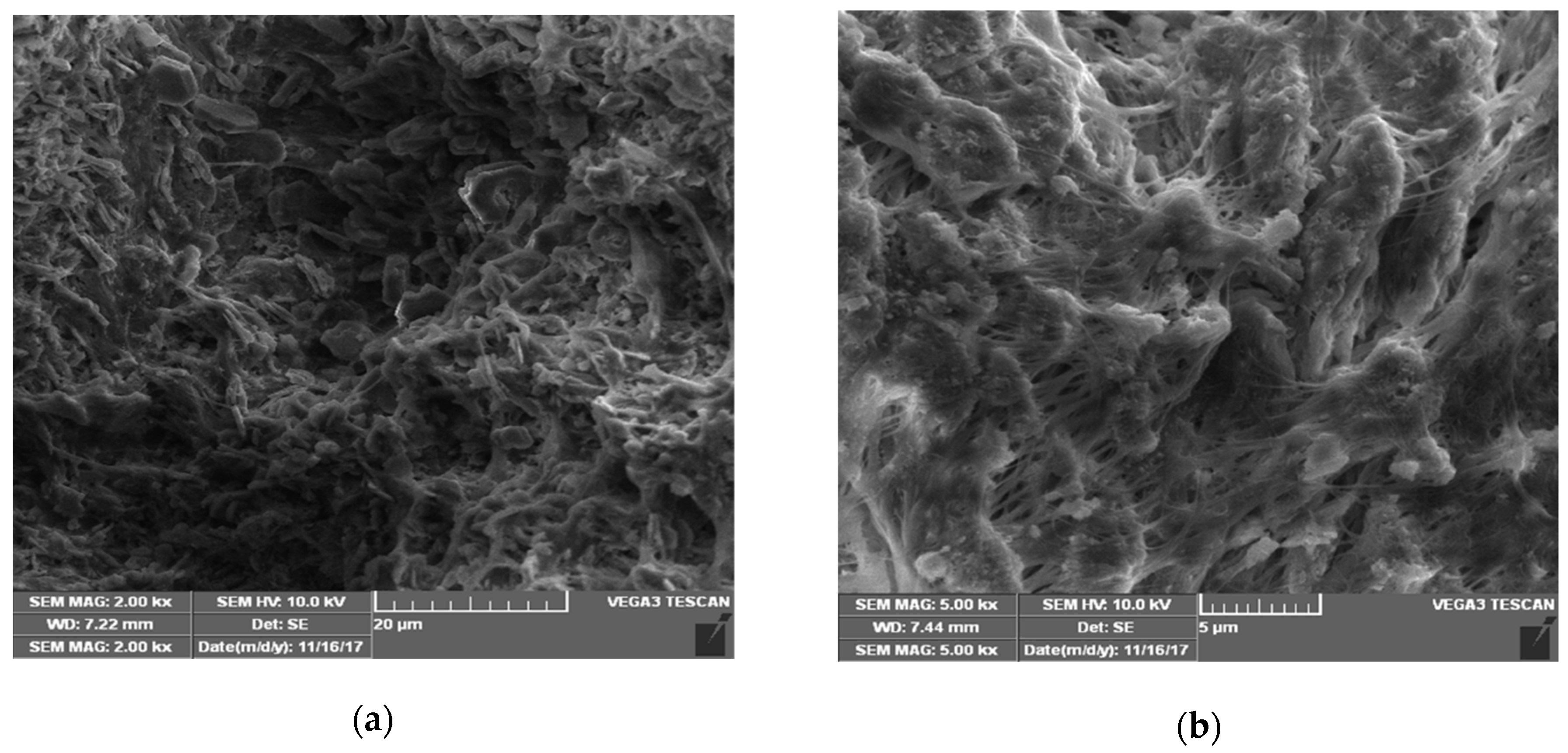 Molecules 24 01312 g001 550