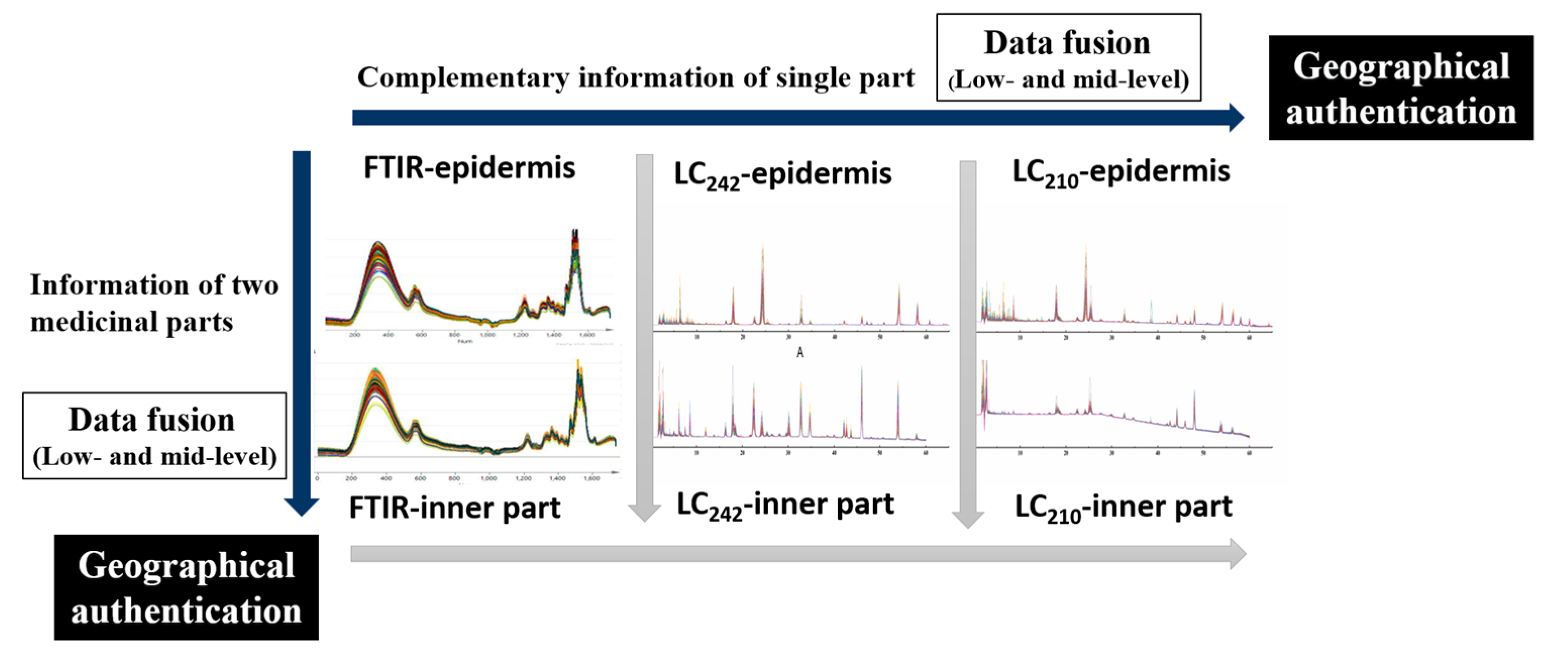 Molecules 24 01320 g005