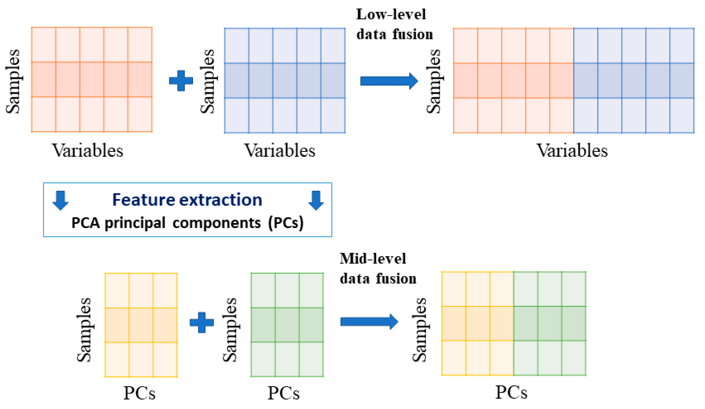 Molecules 24 01320 g007