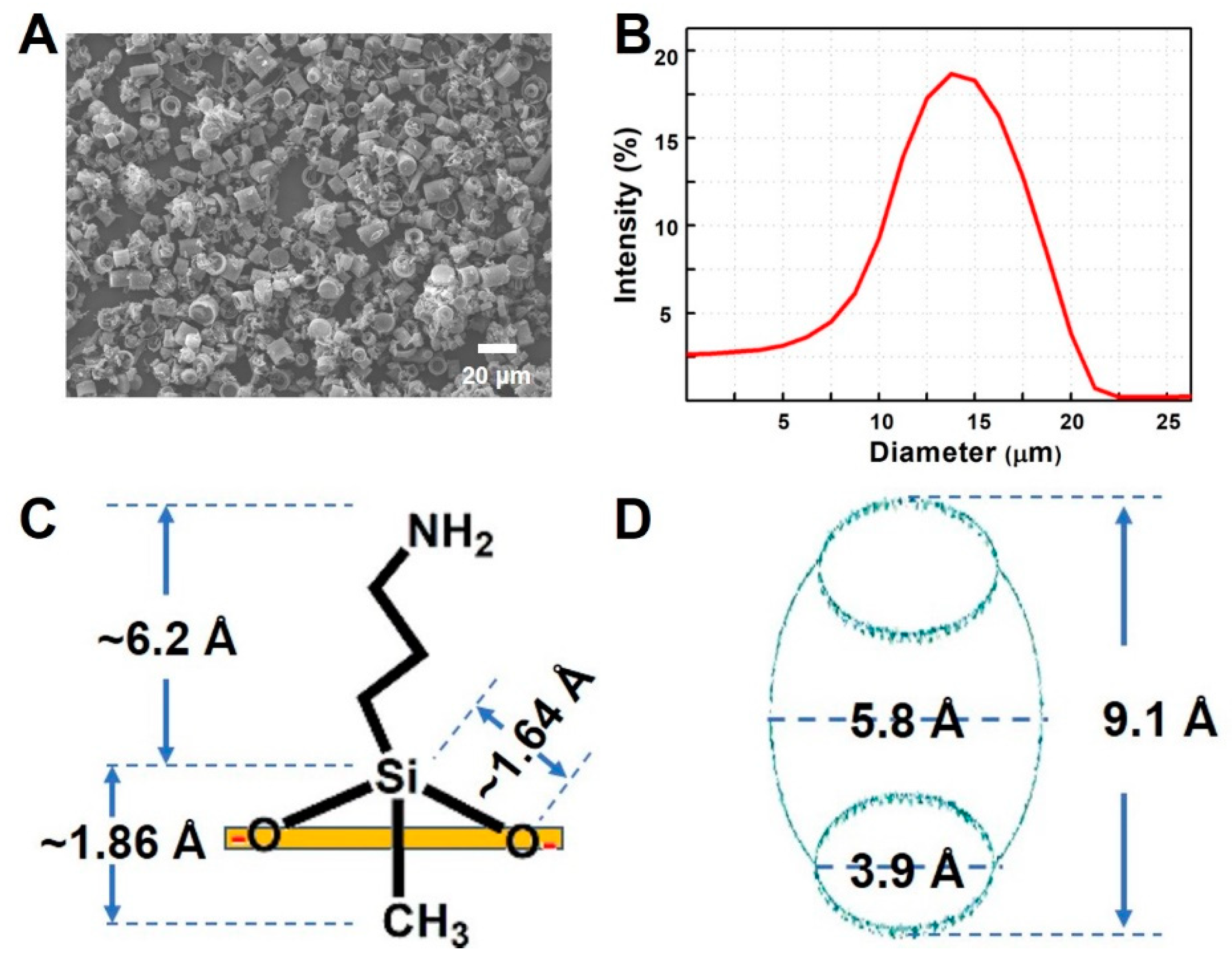 Molecules 24 01321 g001