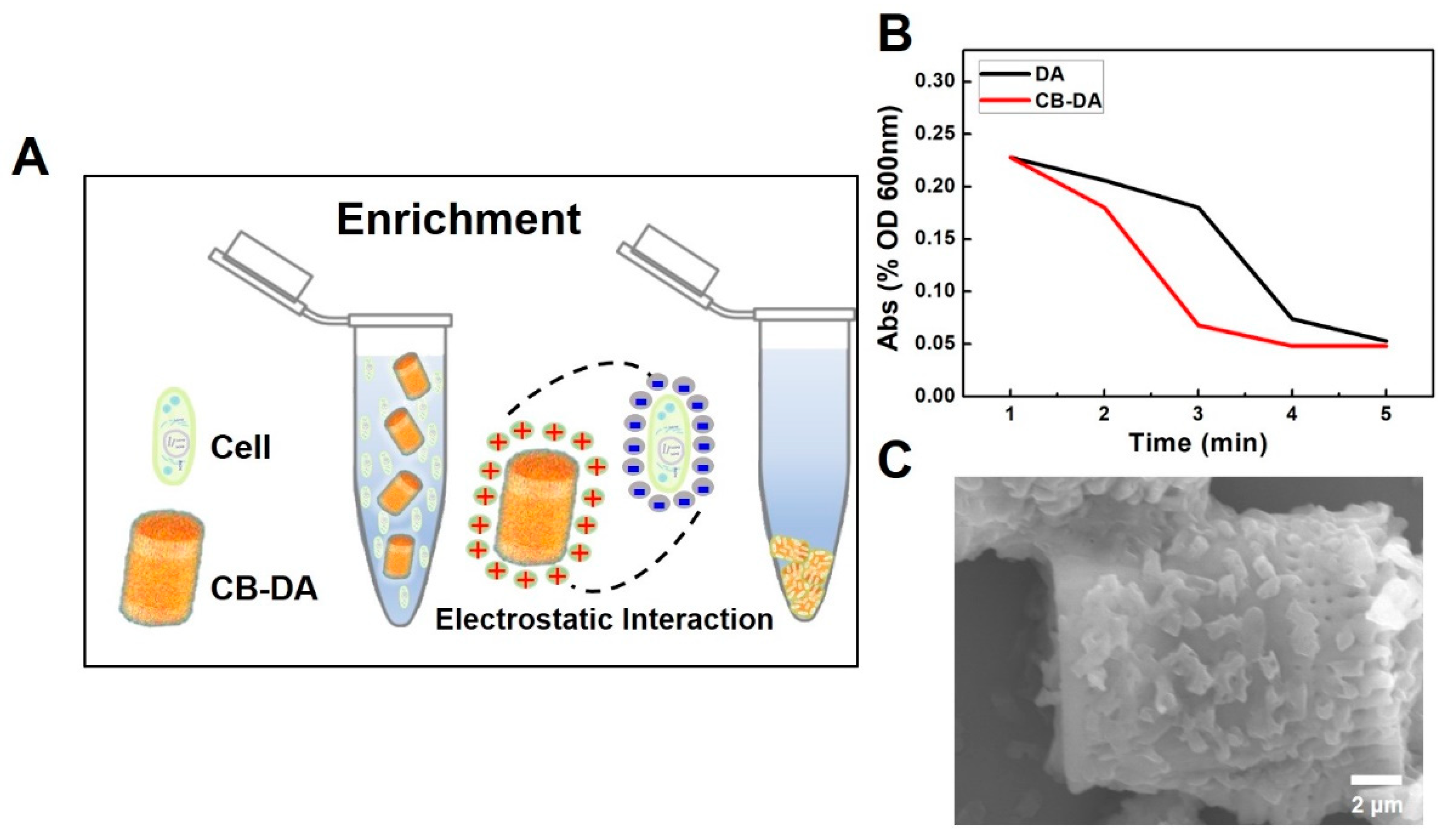 Molecules 24 01321 g004