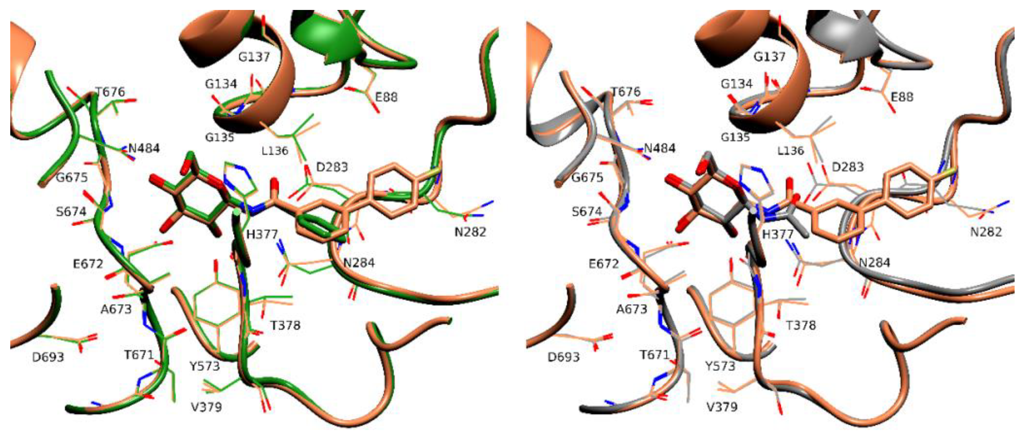 Molecules 24 01322 g007 550