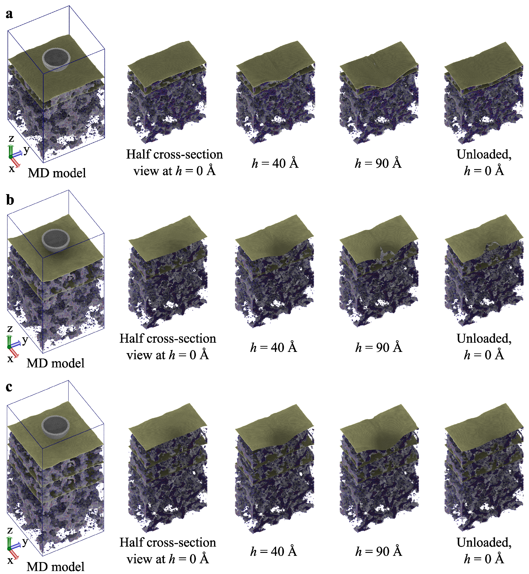 Molecules 24 01336 g005