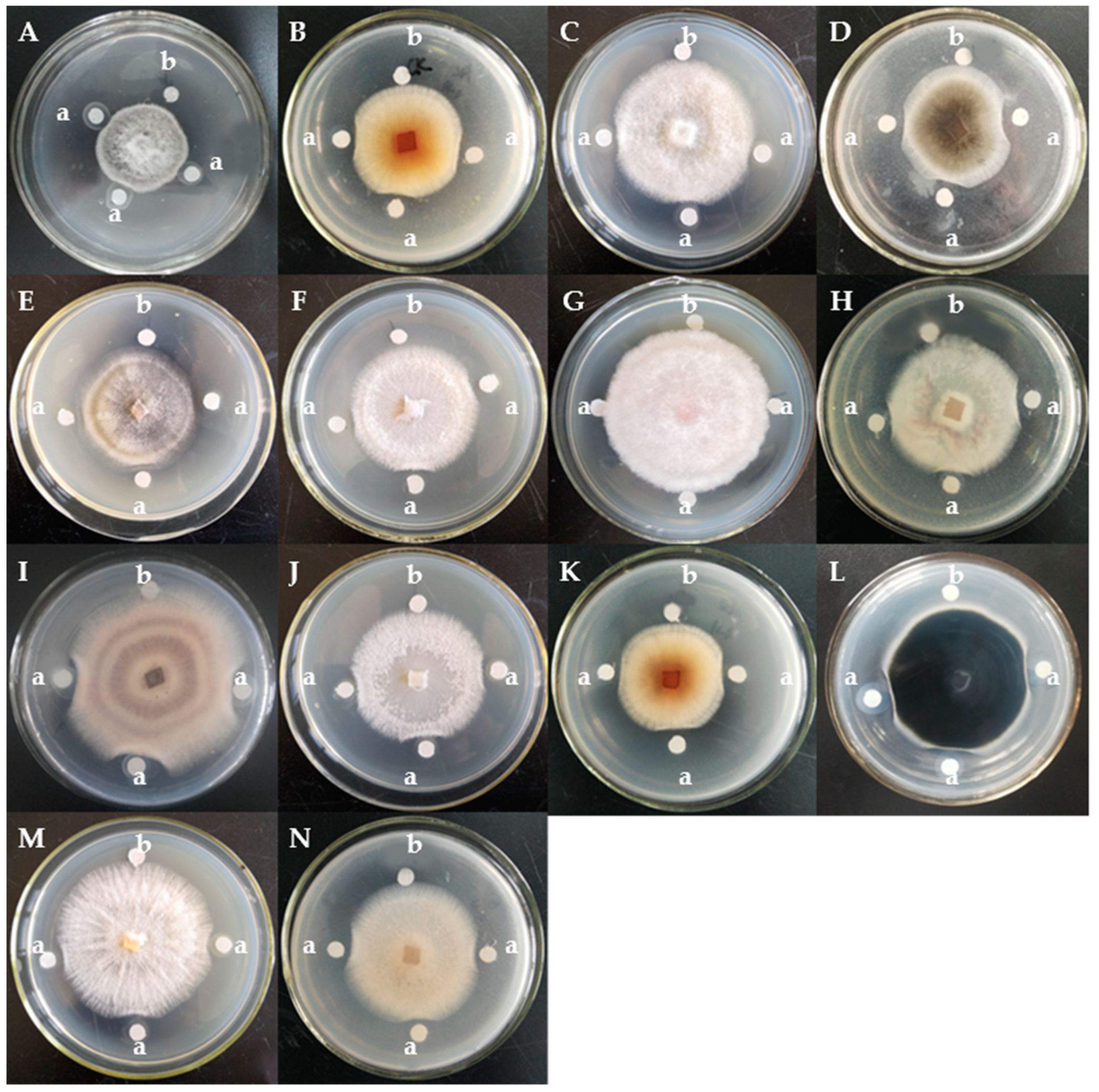 Molecules 24 01337 g002