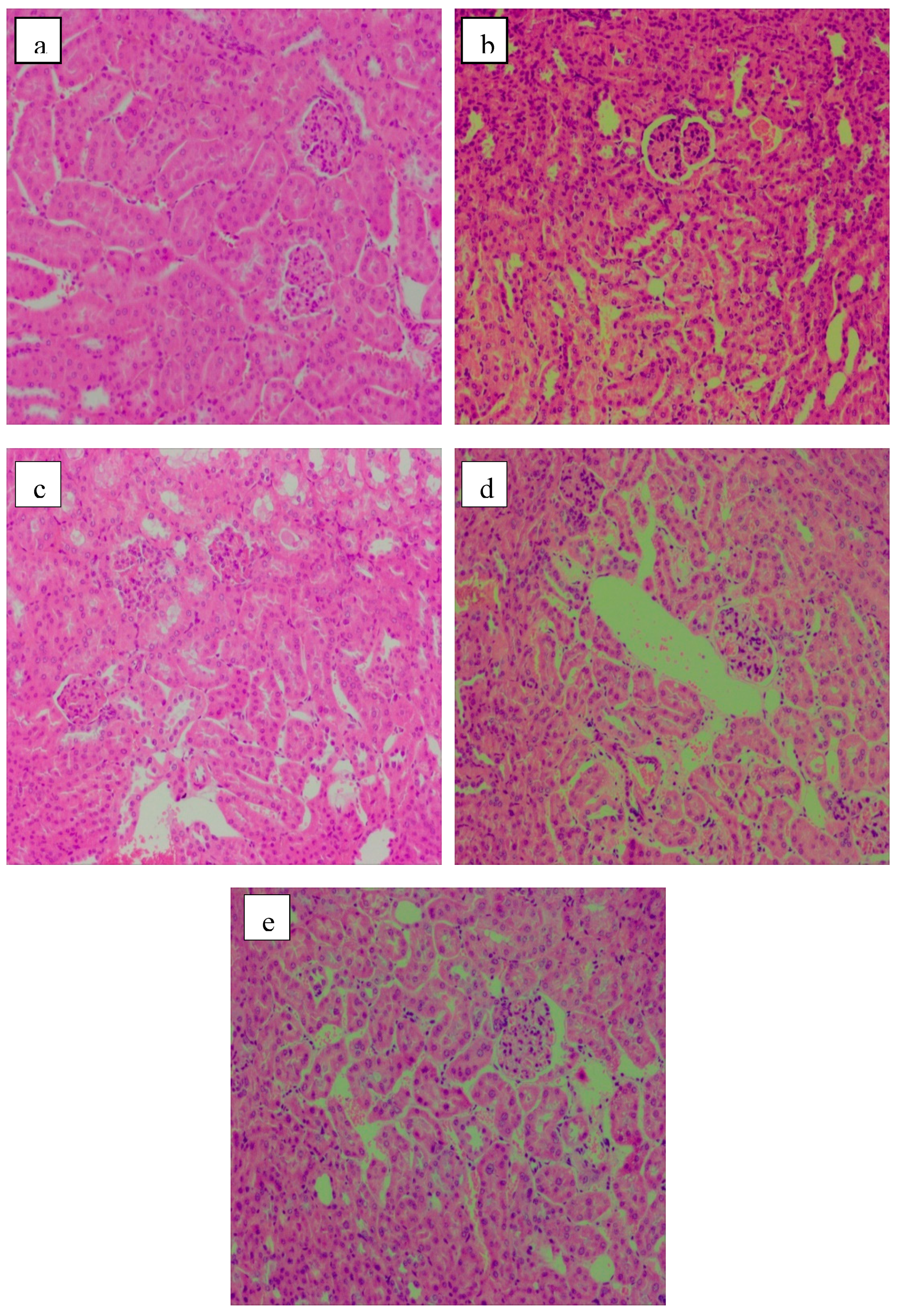 Molecules 24 01343 g005