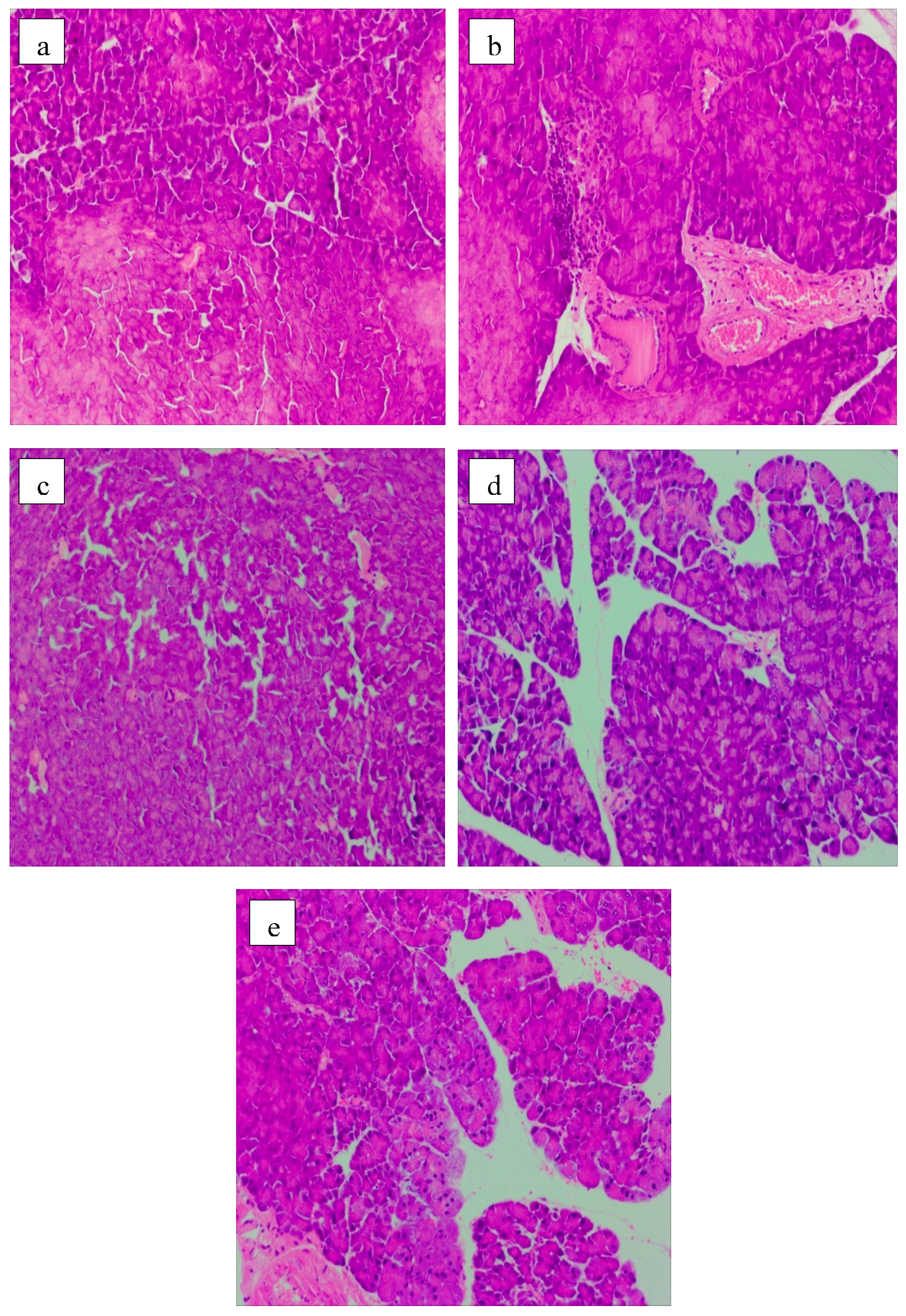 Molecules 24 01343 g006