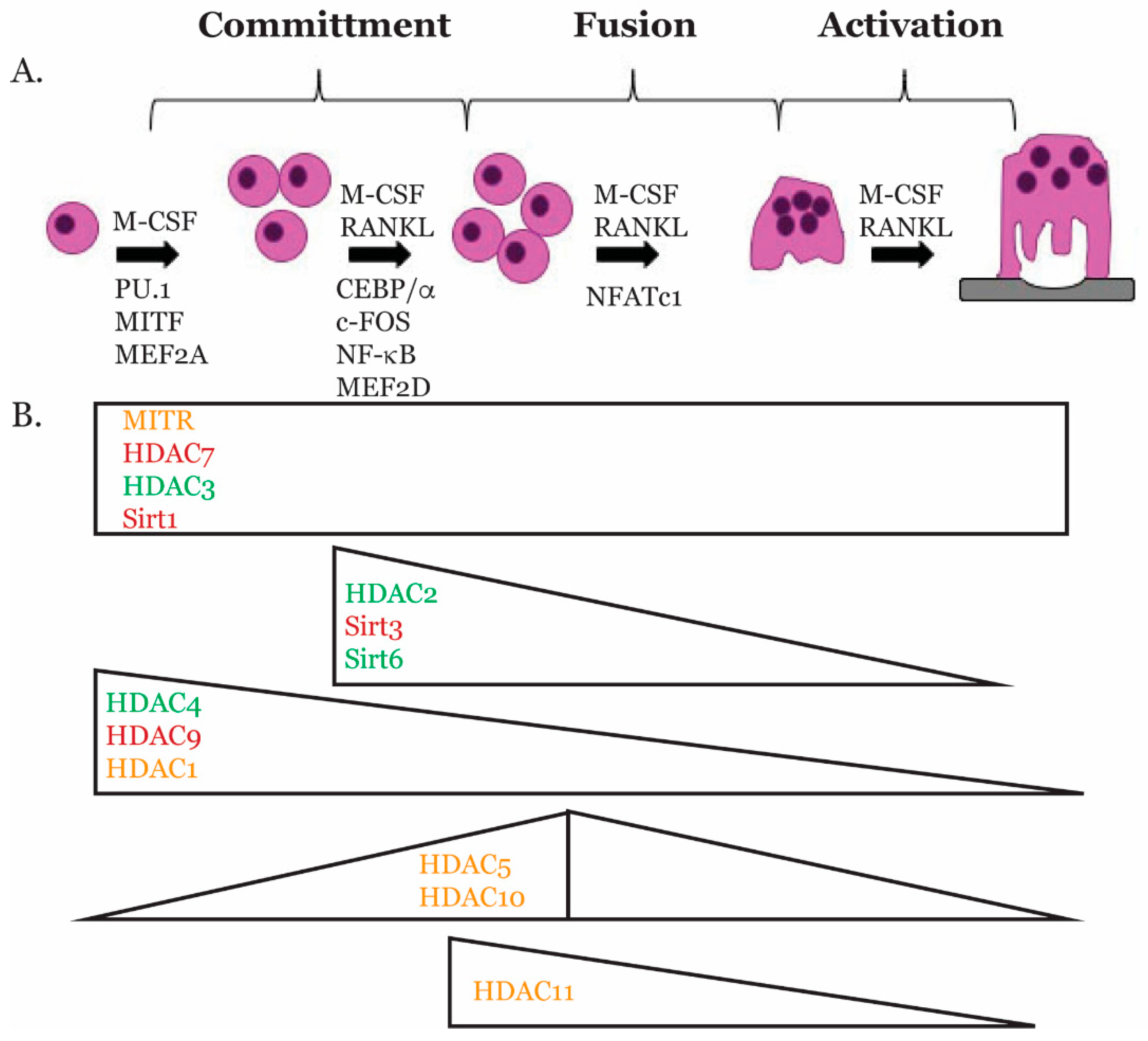 Molecules 24 01355 g001 Molecules 24 01355 g001