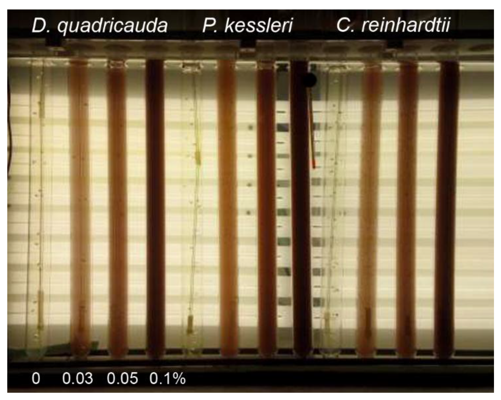Molecules 24 01356 g008 Molecules 24 01356 g008