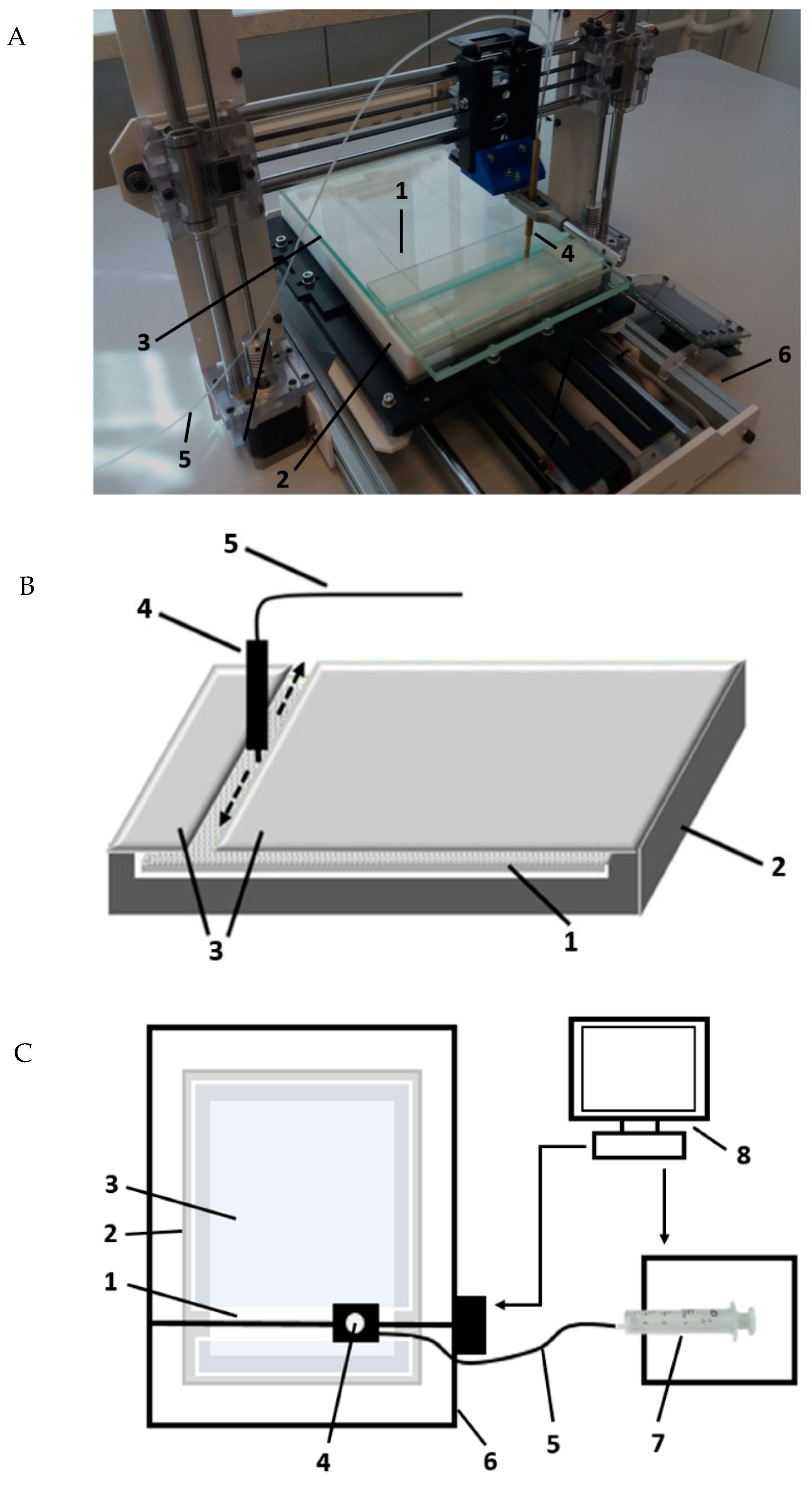 Molecules 24 01358 g006