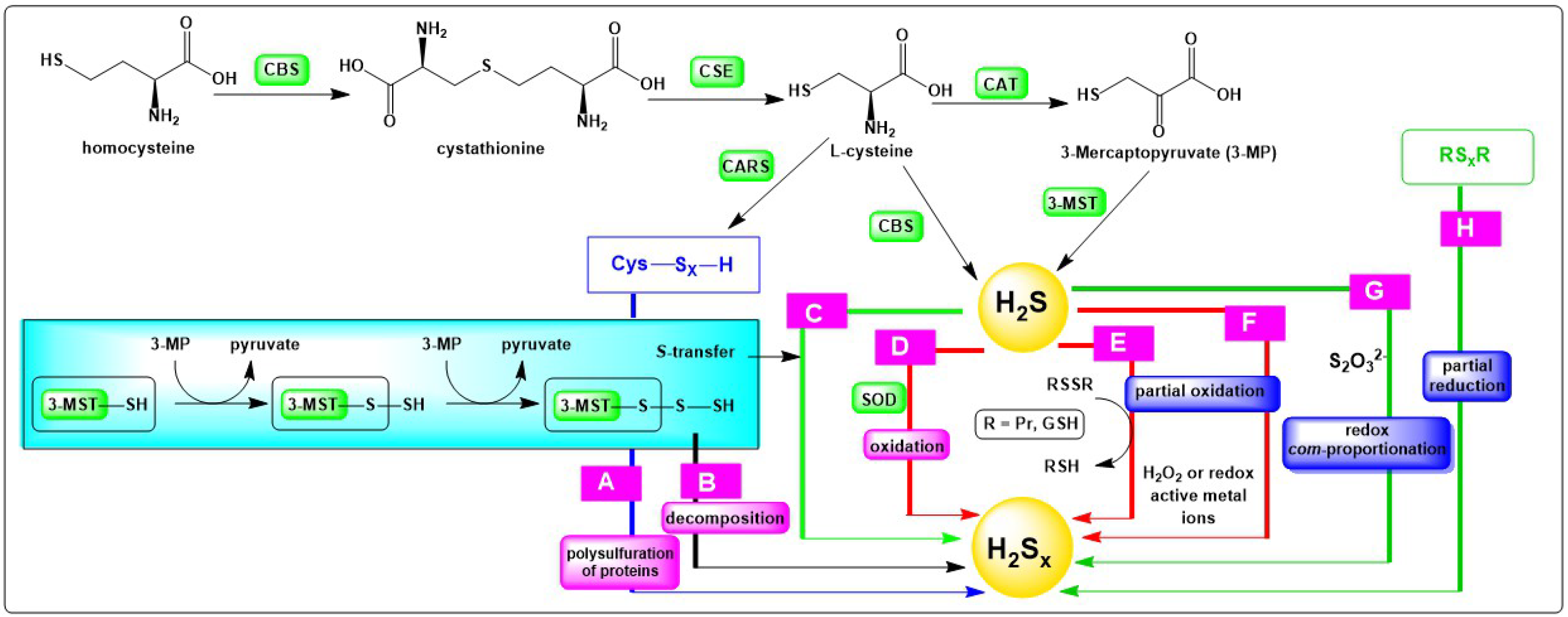 Molecules 24 01359 g001 Molecules 24 01359 g001
