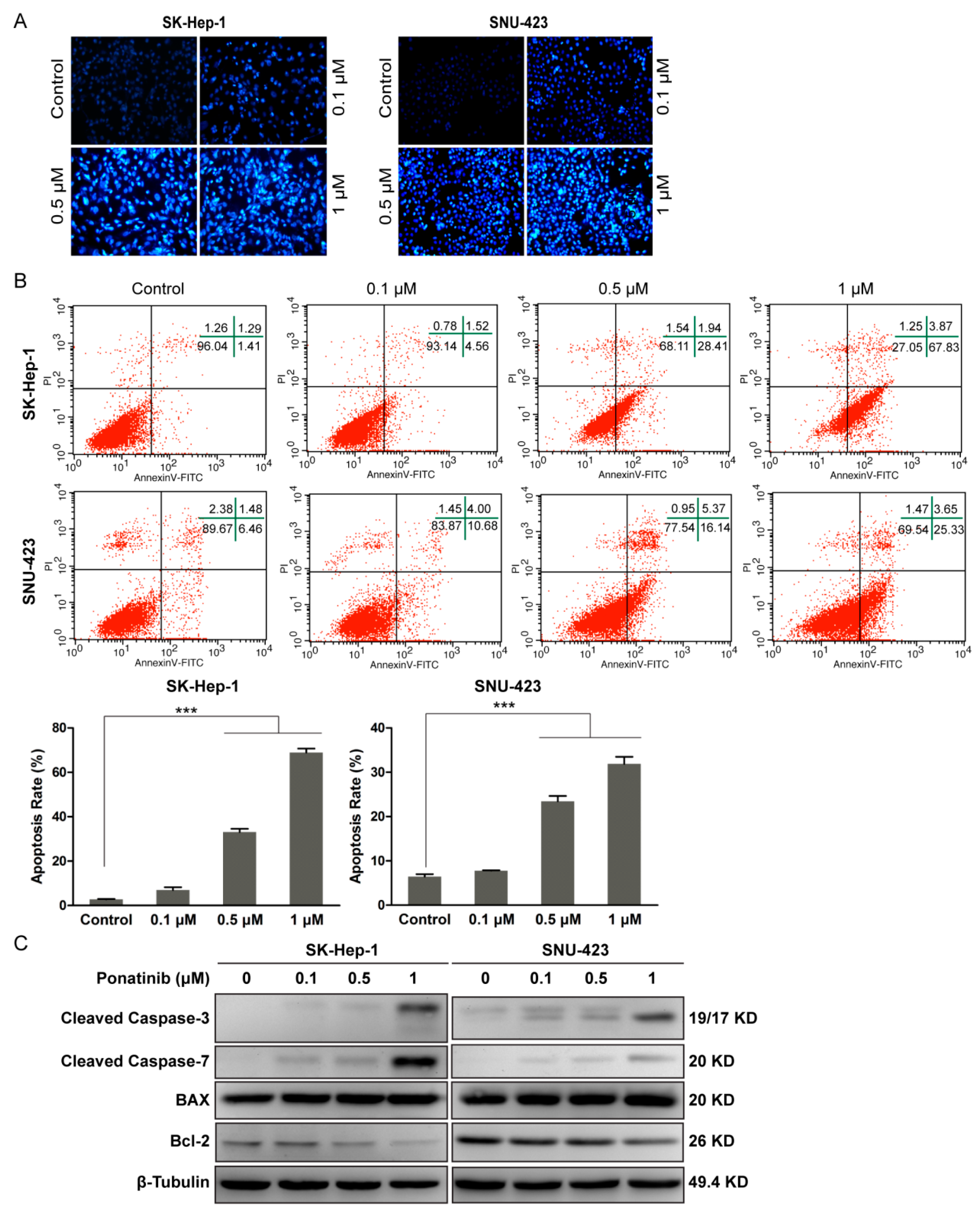 Molecules 24 01363 g002 Molecules 24 01363 g002