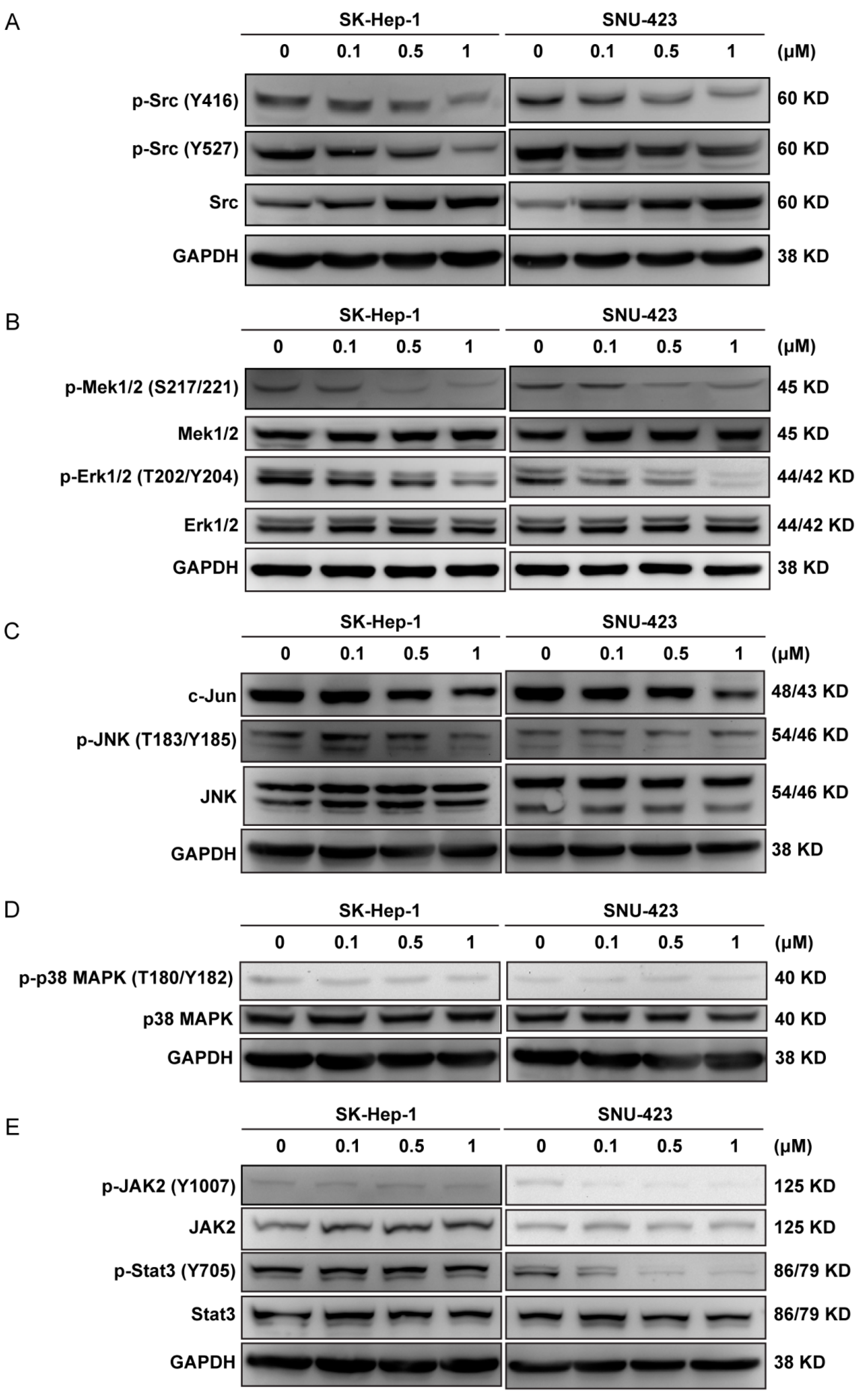 Molecules 24 01363 g004 Molecules 24 01363 g004