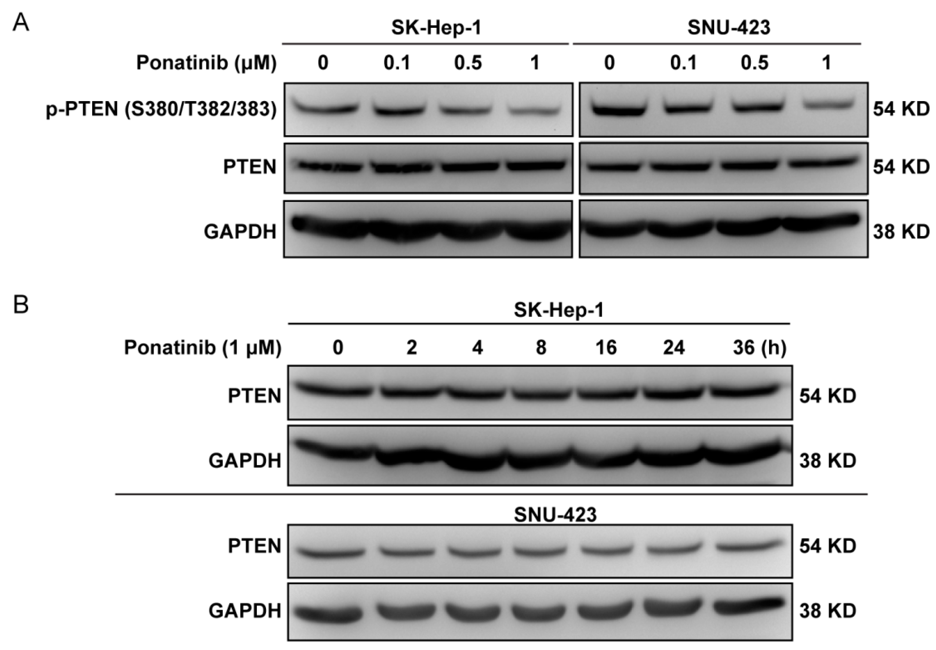 Molecules 24 01363 g006 Molecules 24 01363 g006