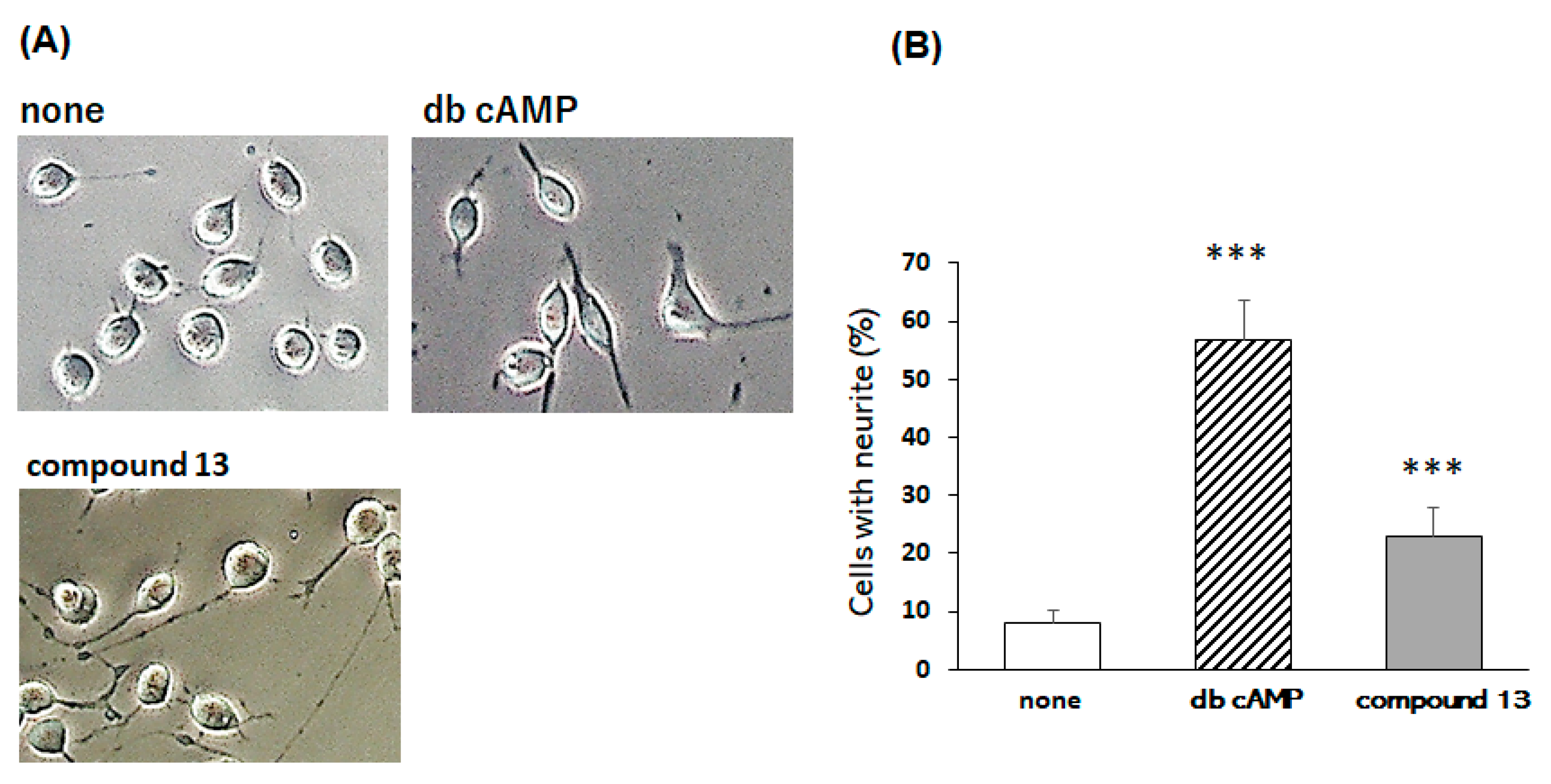 Molecules 24 01366 g003 Molecules 24 01366 g003