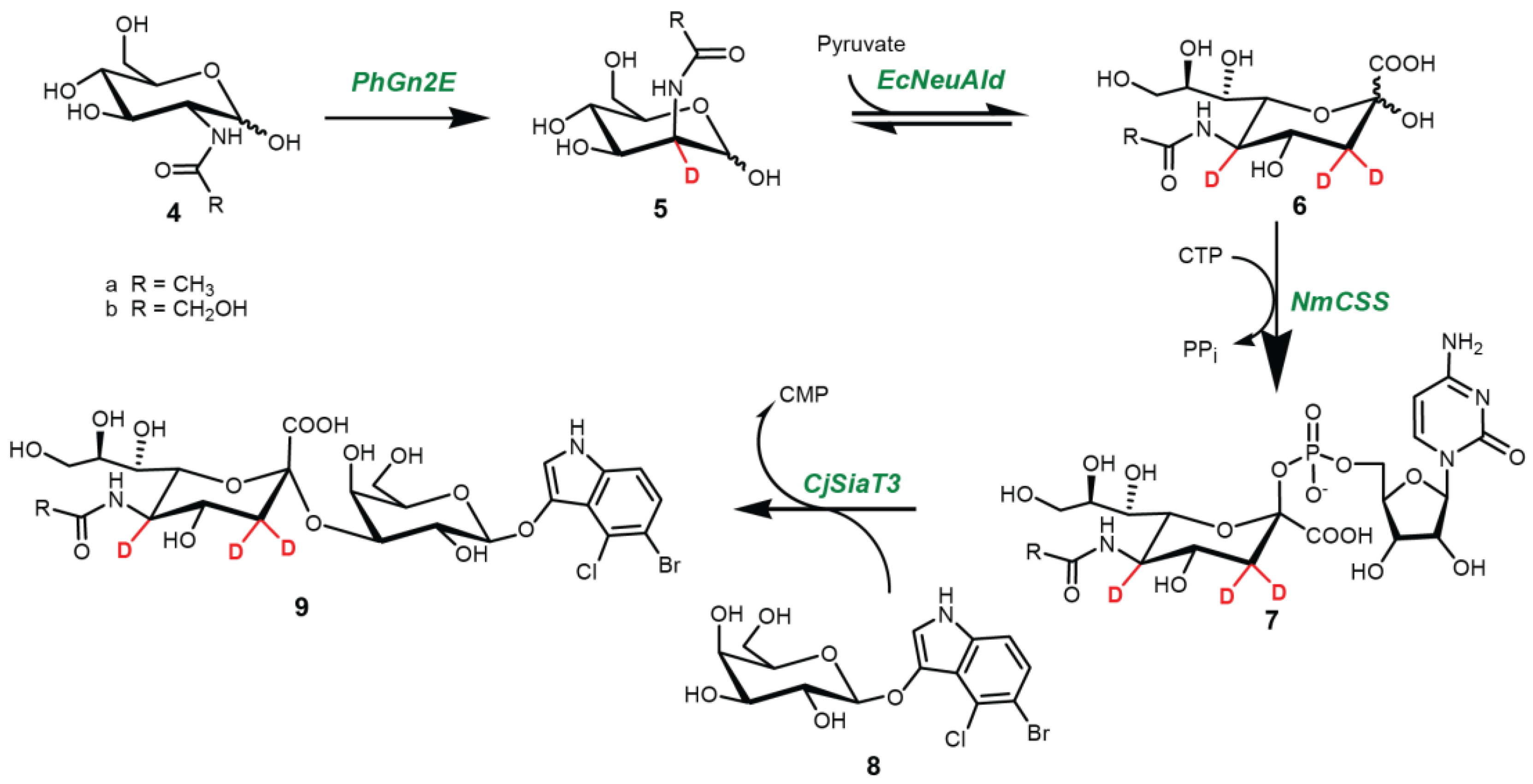 Molecules 24 01368 sch002 Molecules 24 01368 sch002