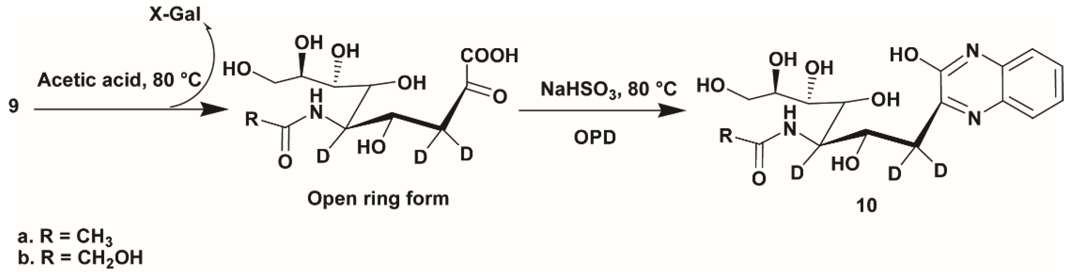 Molecules 24 01368 sch003 Molecules 24 01368 sch003