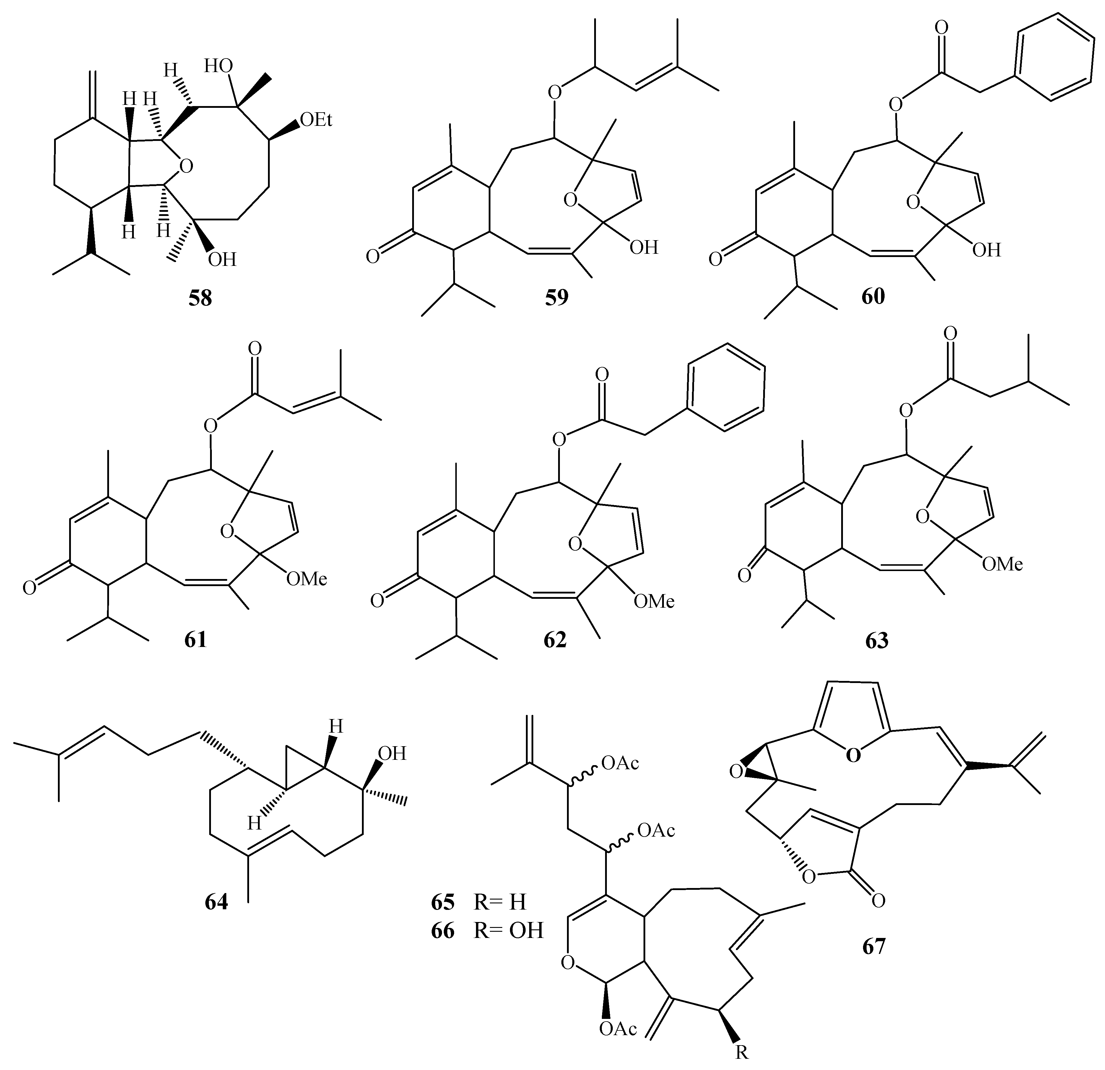 Molecules 24 01370 g009 Molecules 24 01370 g009