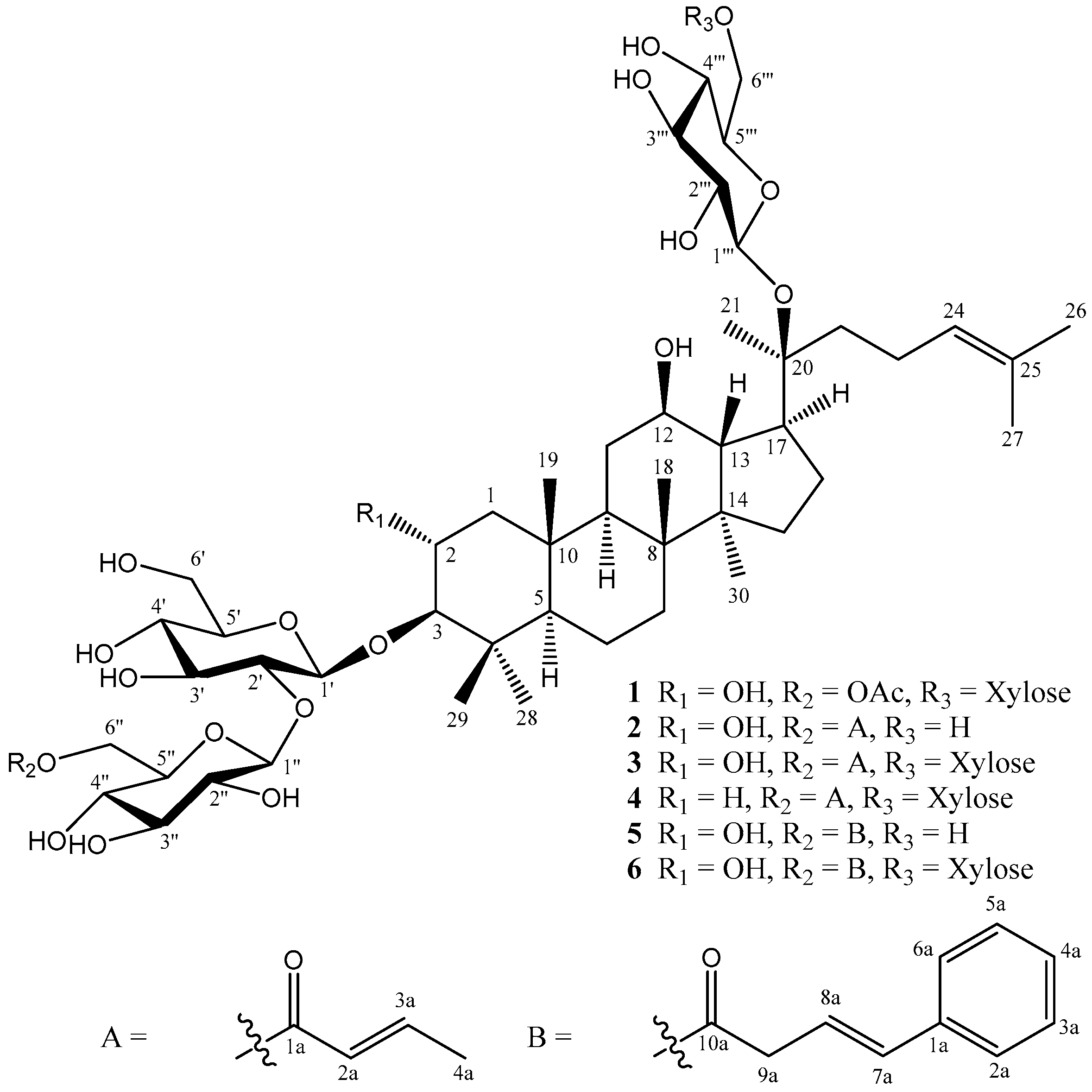 Molecules 24 01375 g001