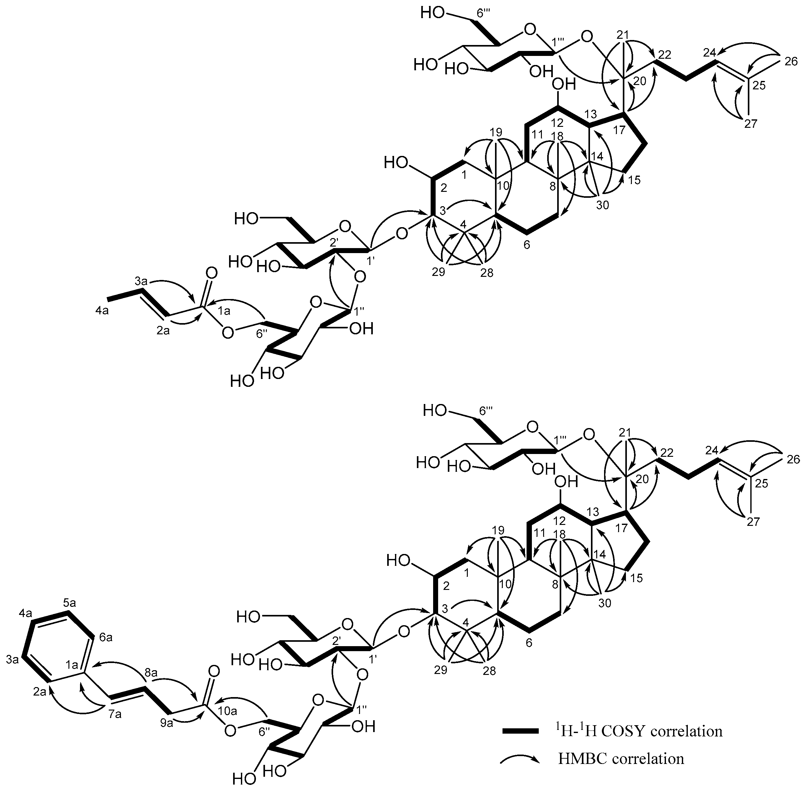 Molecules 24 01375 g003