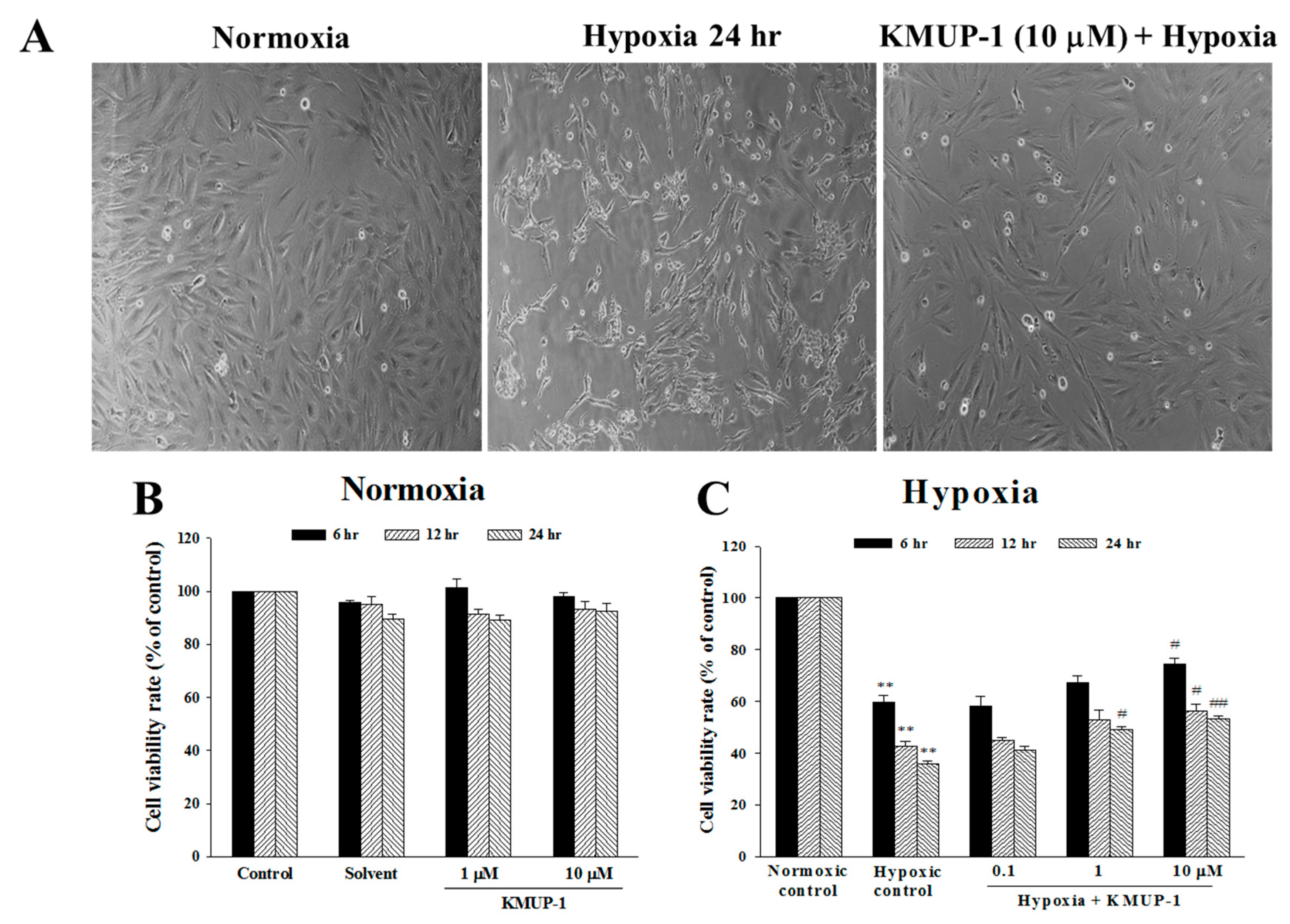 Molecules 24 01376 g002