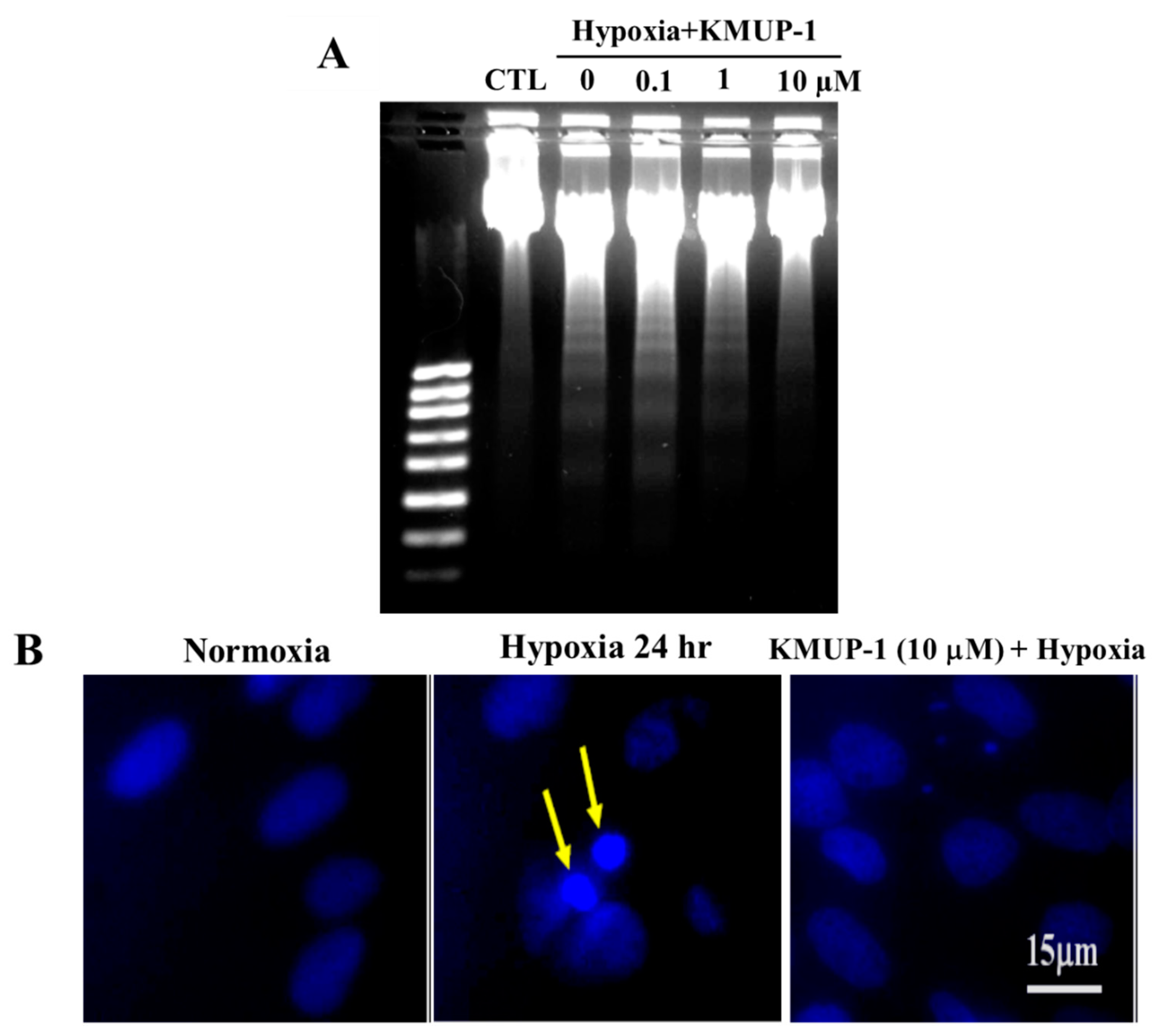 Molecules 24 01376 g003